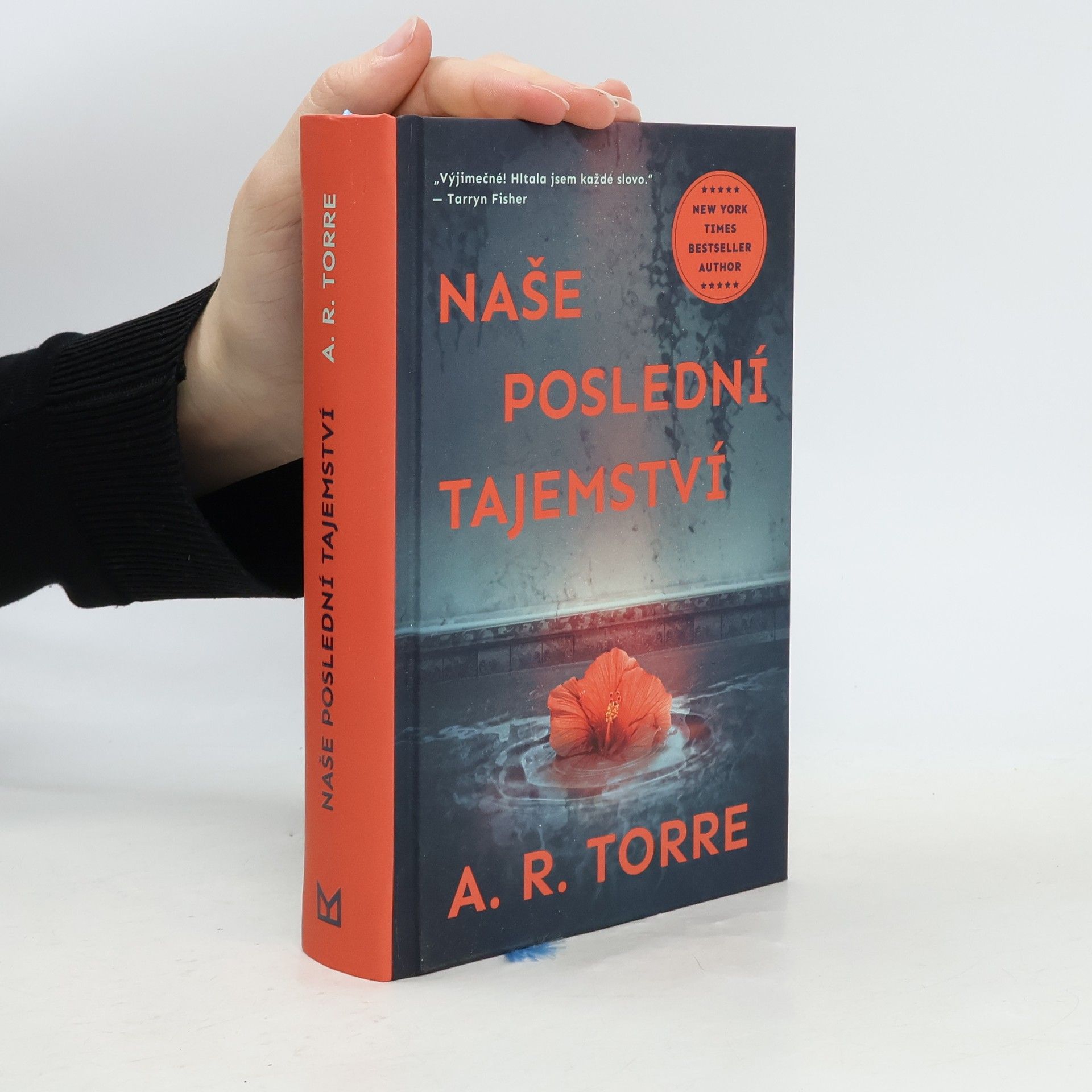 Alessandra Torre Naše poslední tajemství