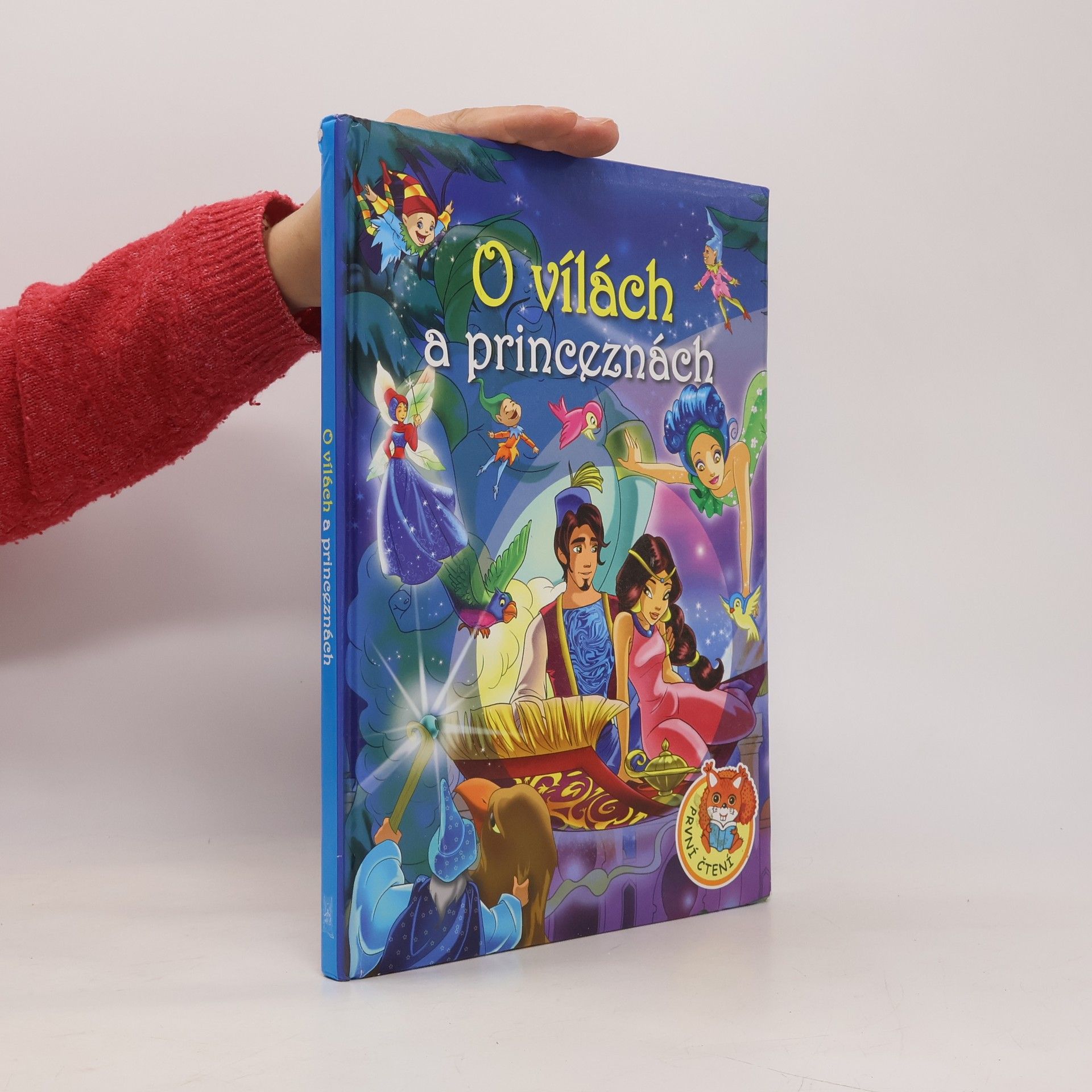 Autorenkollektiv O vílach a princeznách