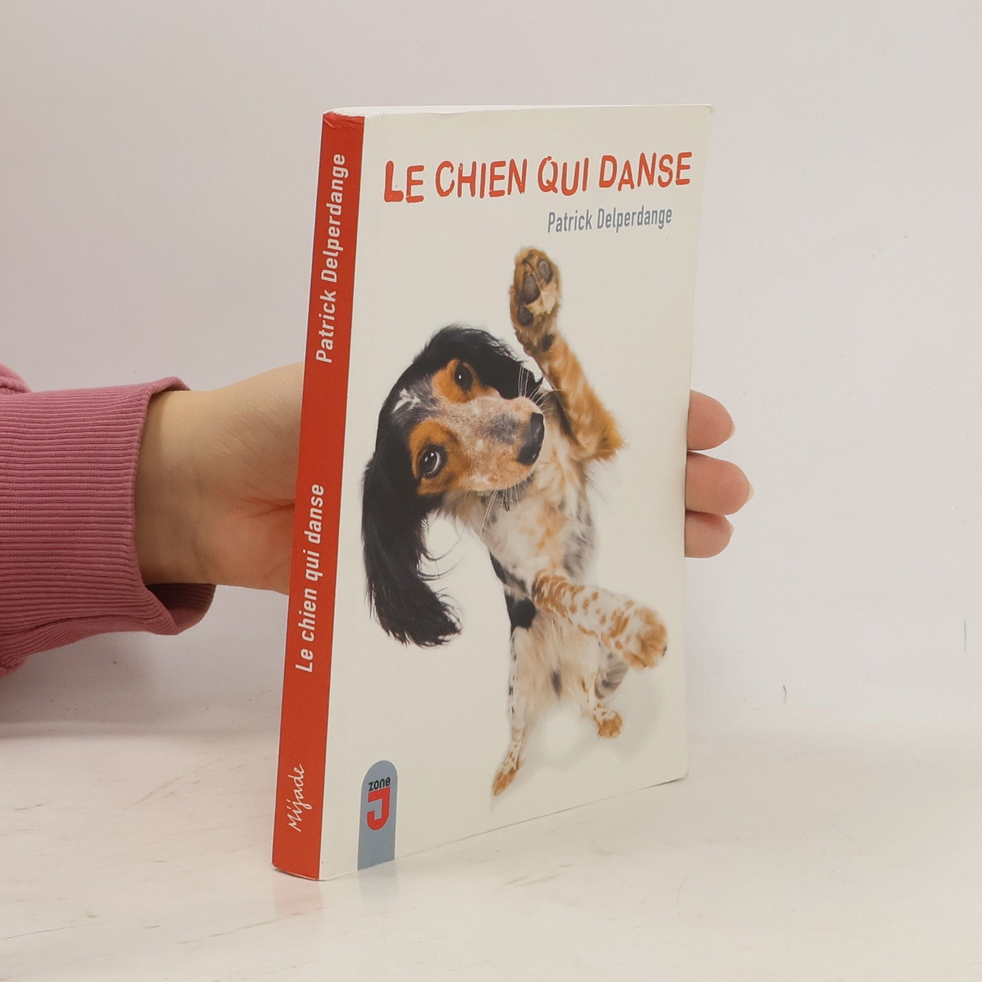 Patrick Delperdange Le chien qui danse