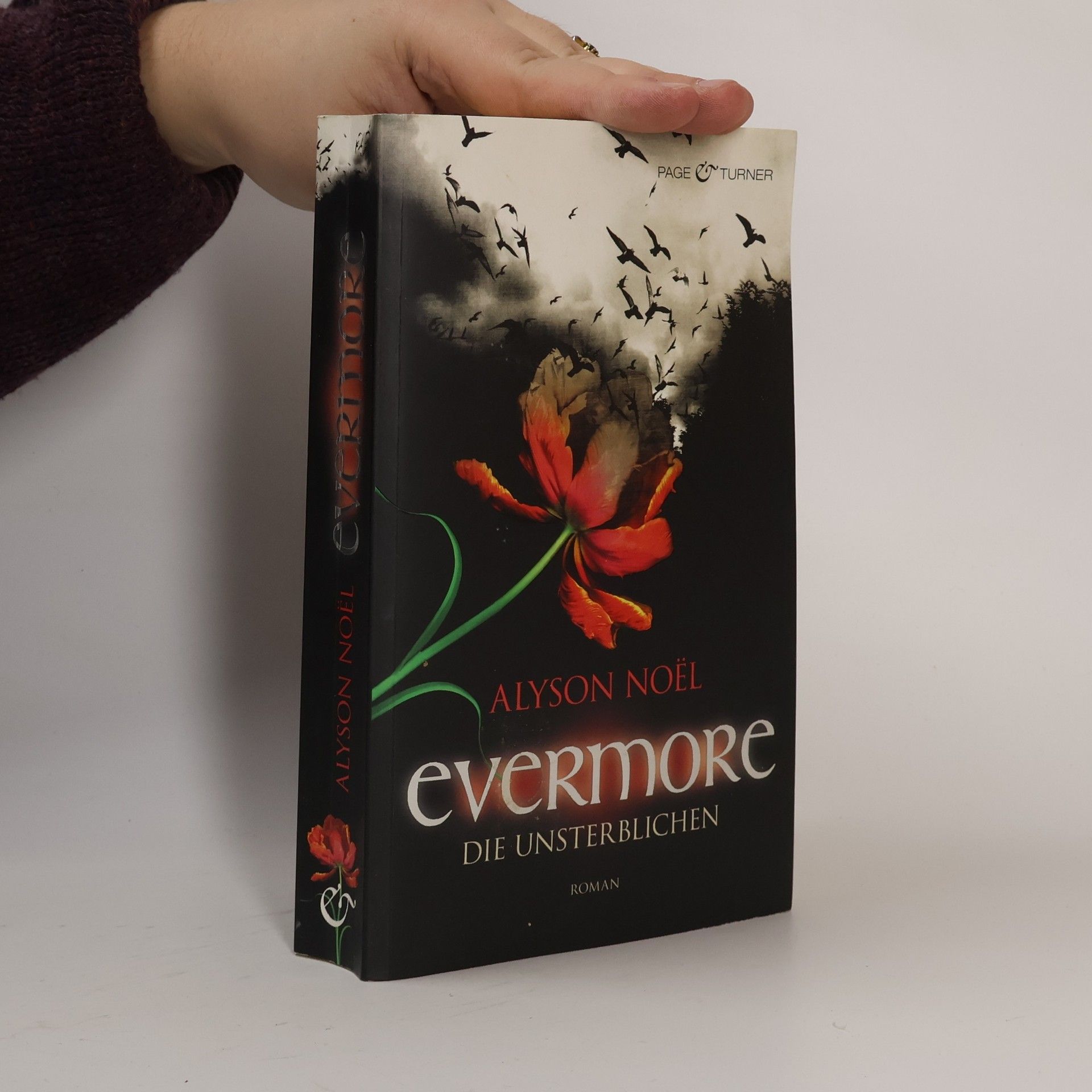 Alyson Noë͏l Evermore 1