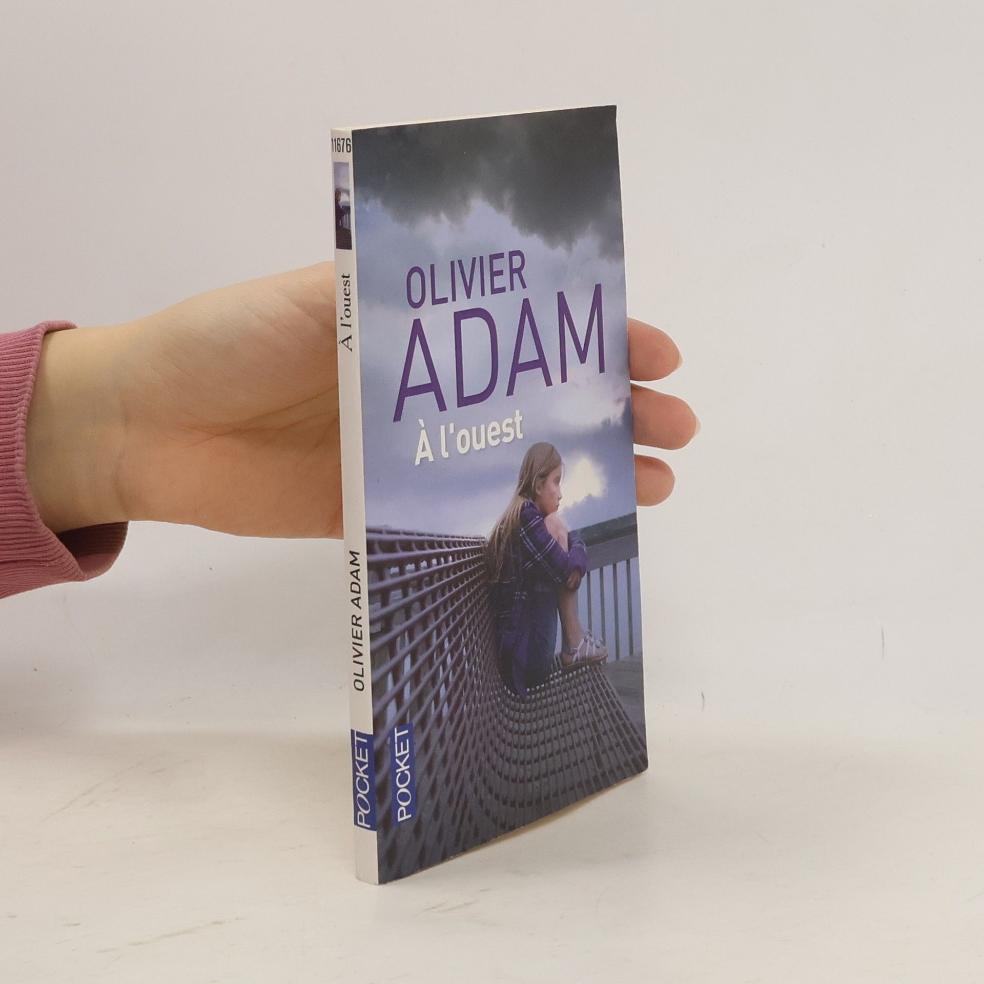 Olivier Adam À l'ouest
