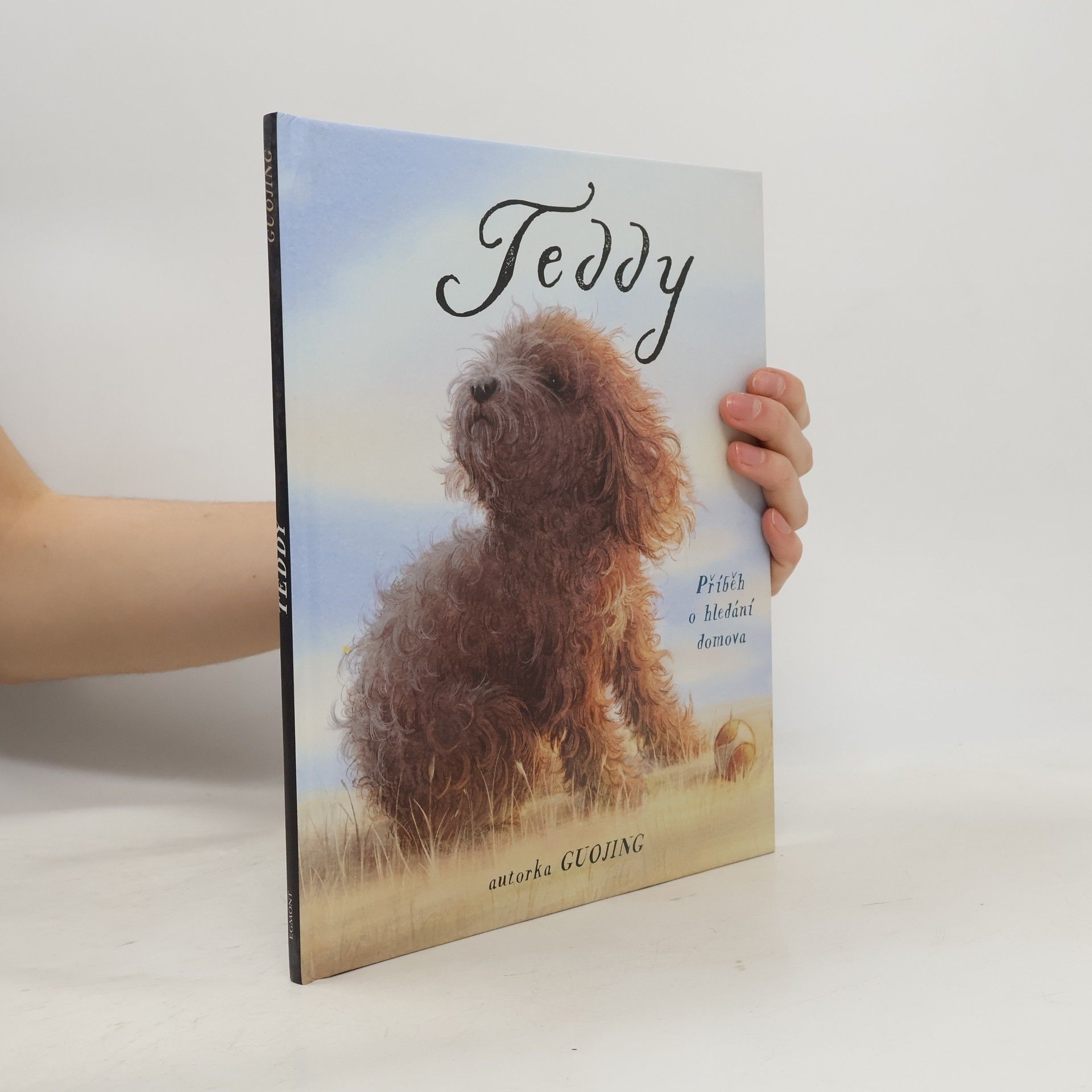 Guojing Teddy : příběh o hledání domova