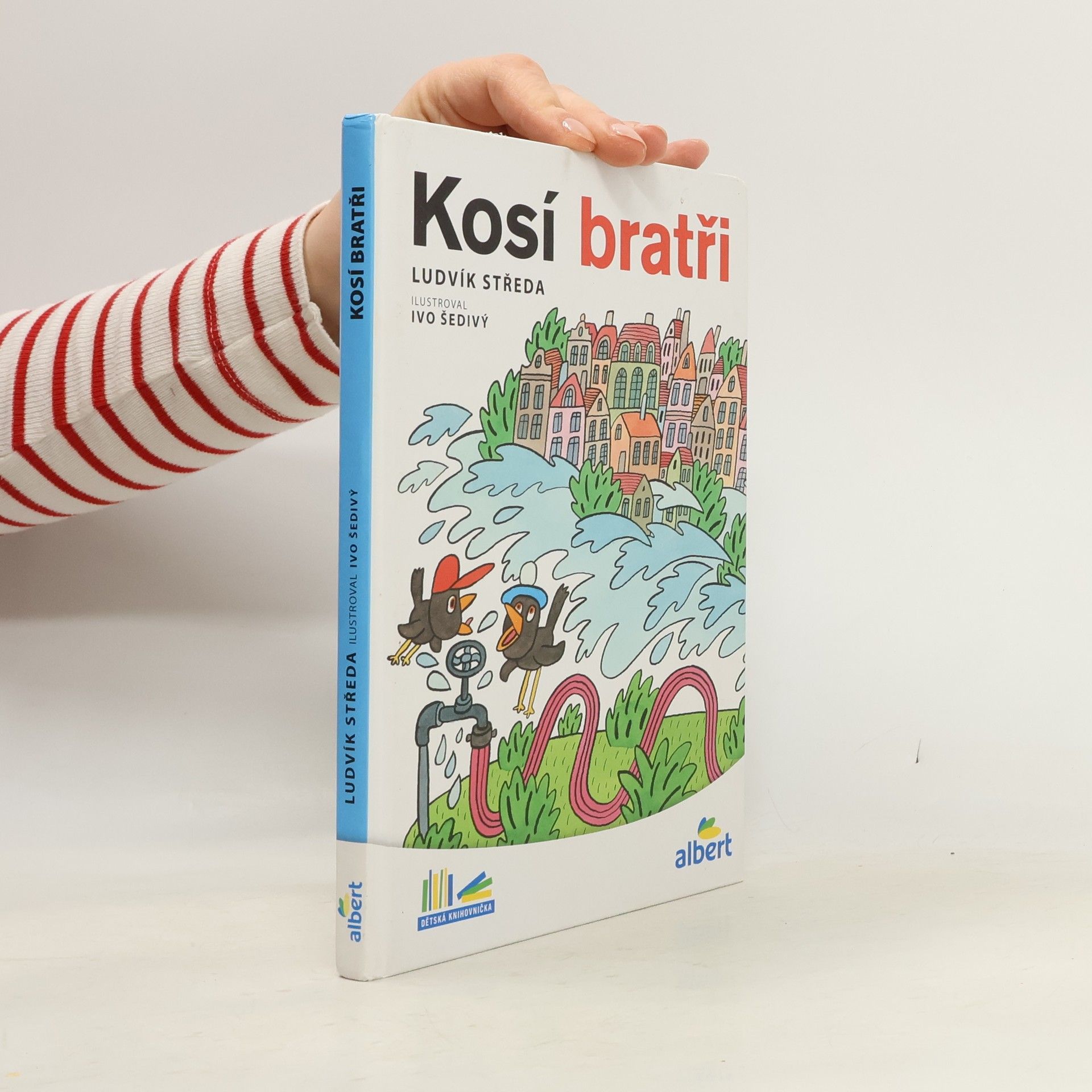 Ludvík Středa Kosí bratři