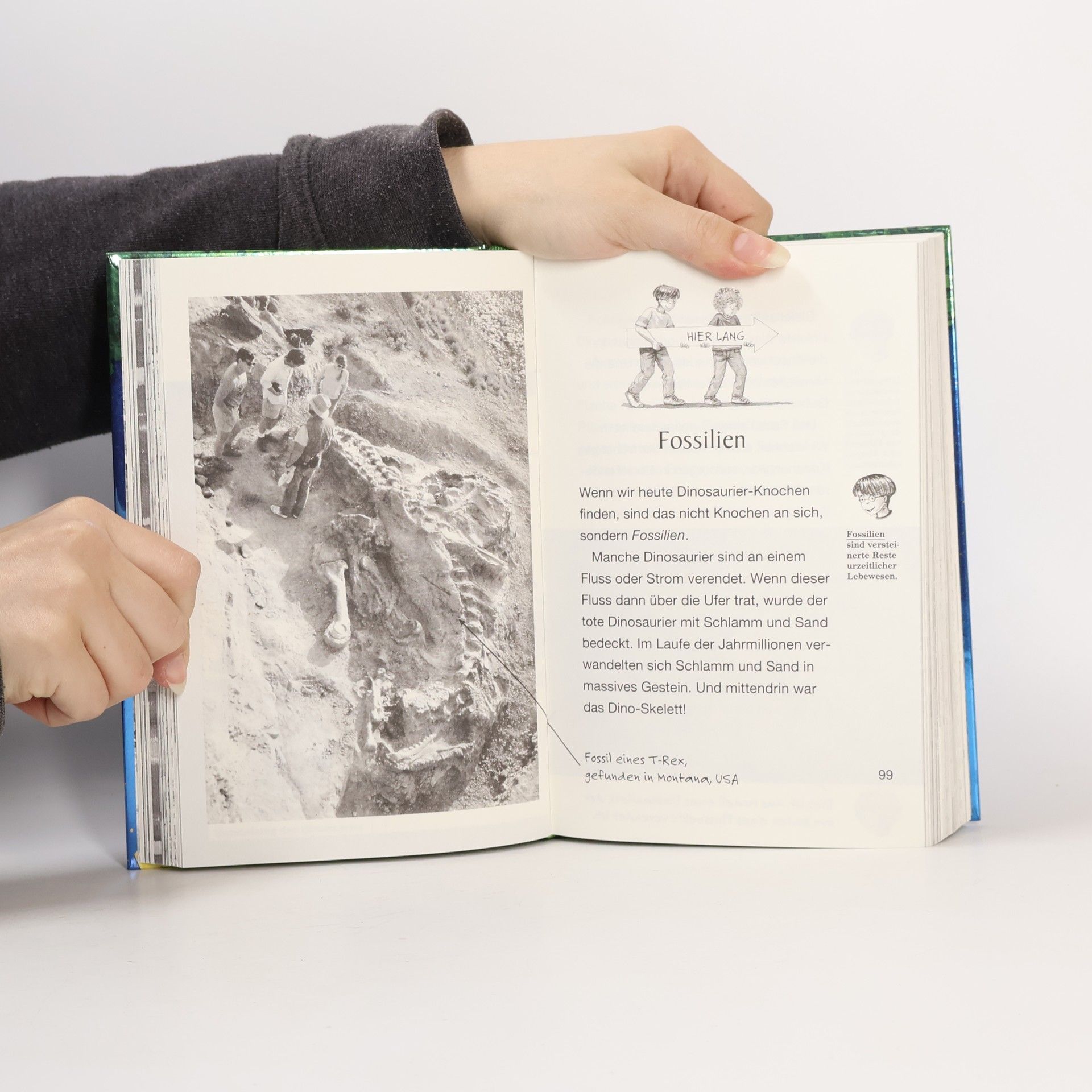 Mary Pope Osborne Das magische Baumhaus - das große Forscherhandbuch