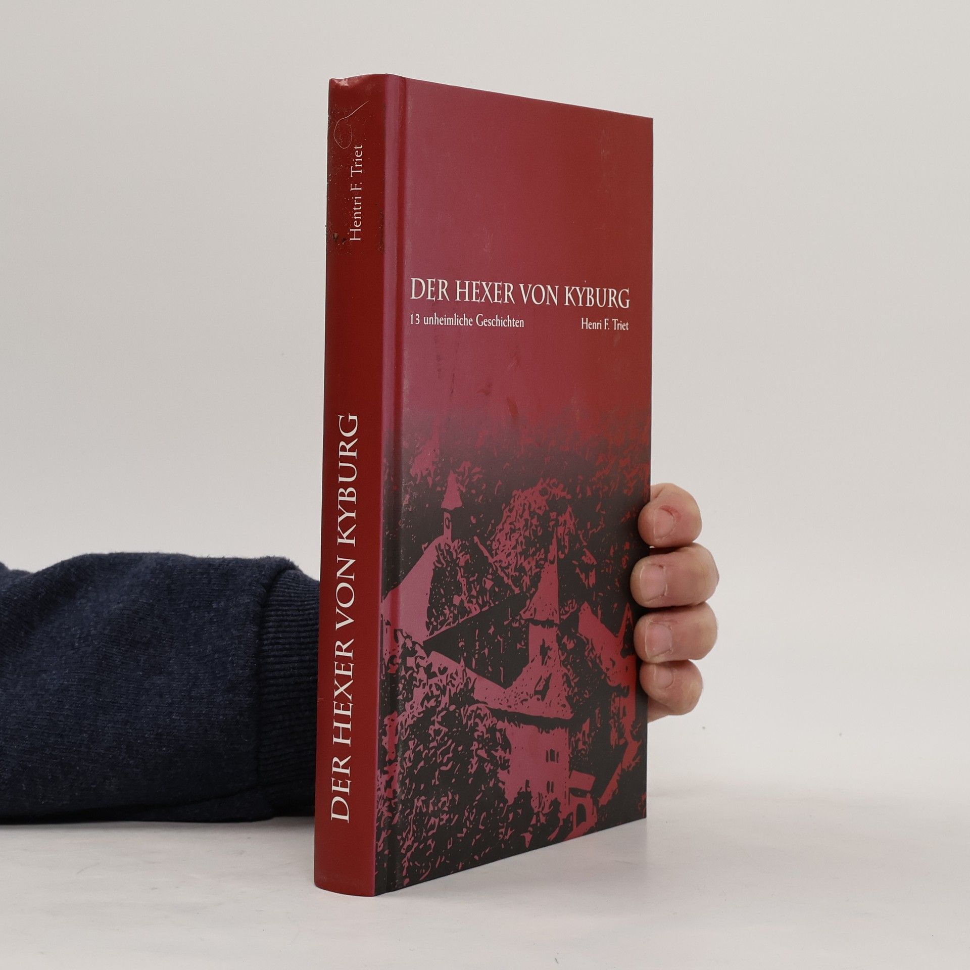Henri F. Triet Der Hexer von Kyburg