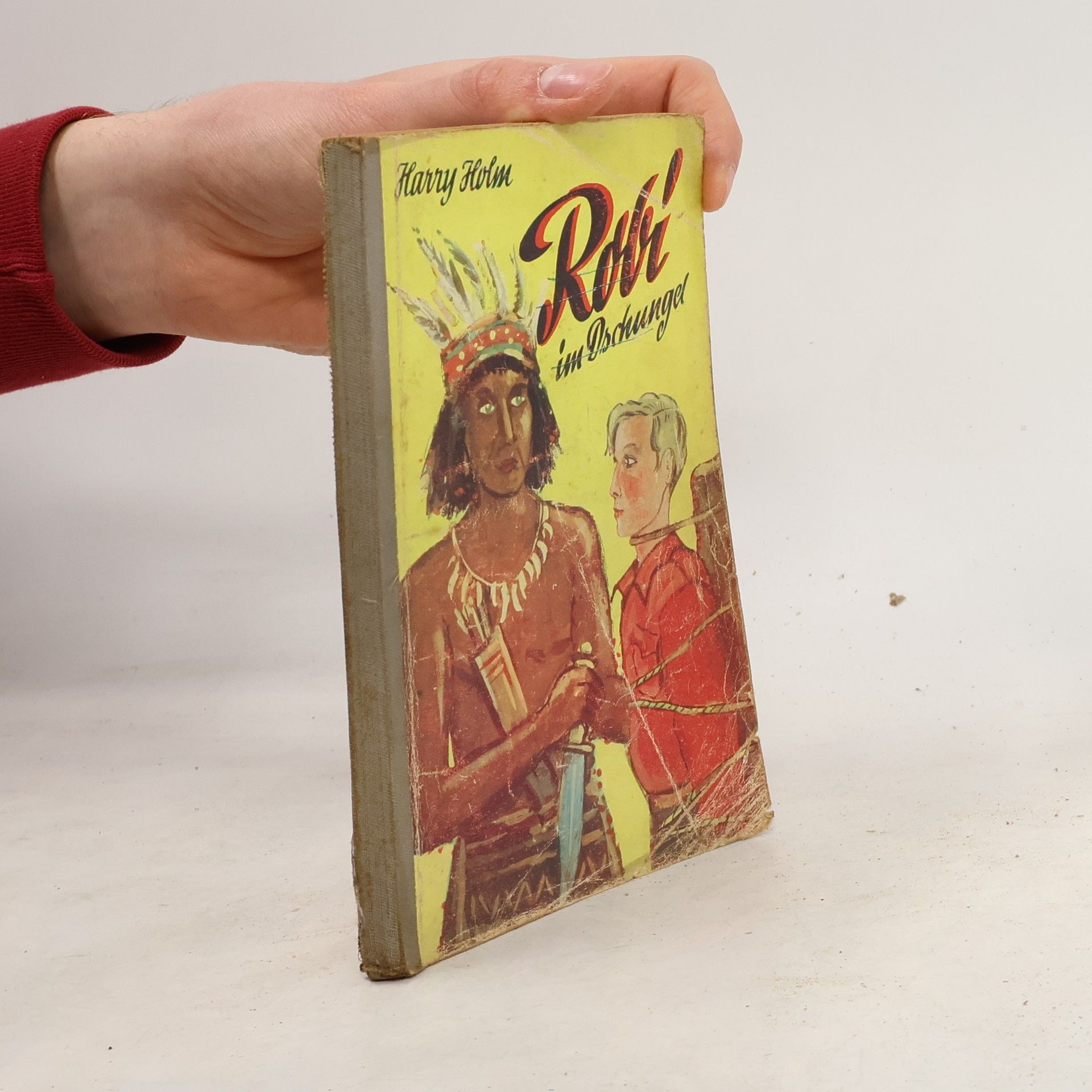 Harry Holm Robi im Dschungel