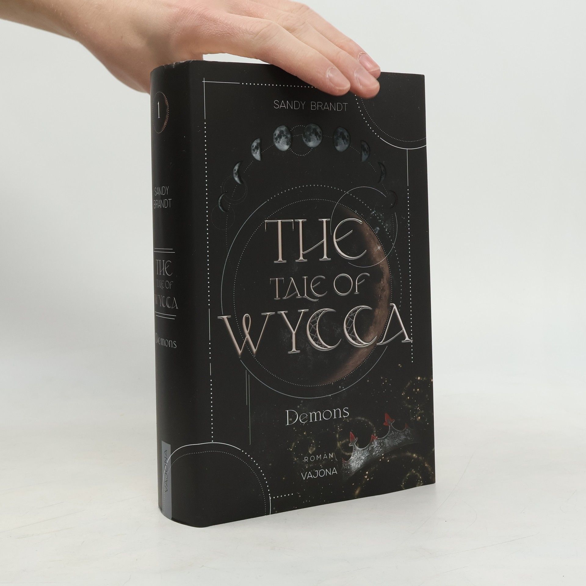 Sandy Brandt THE TALE OF WYCCA: Demons (WYCCA-Reihe 1)