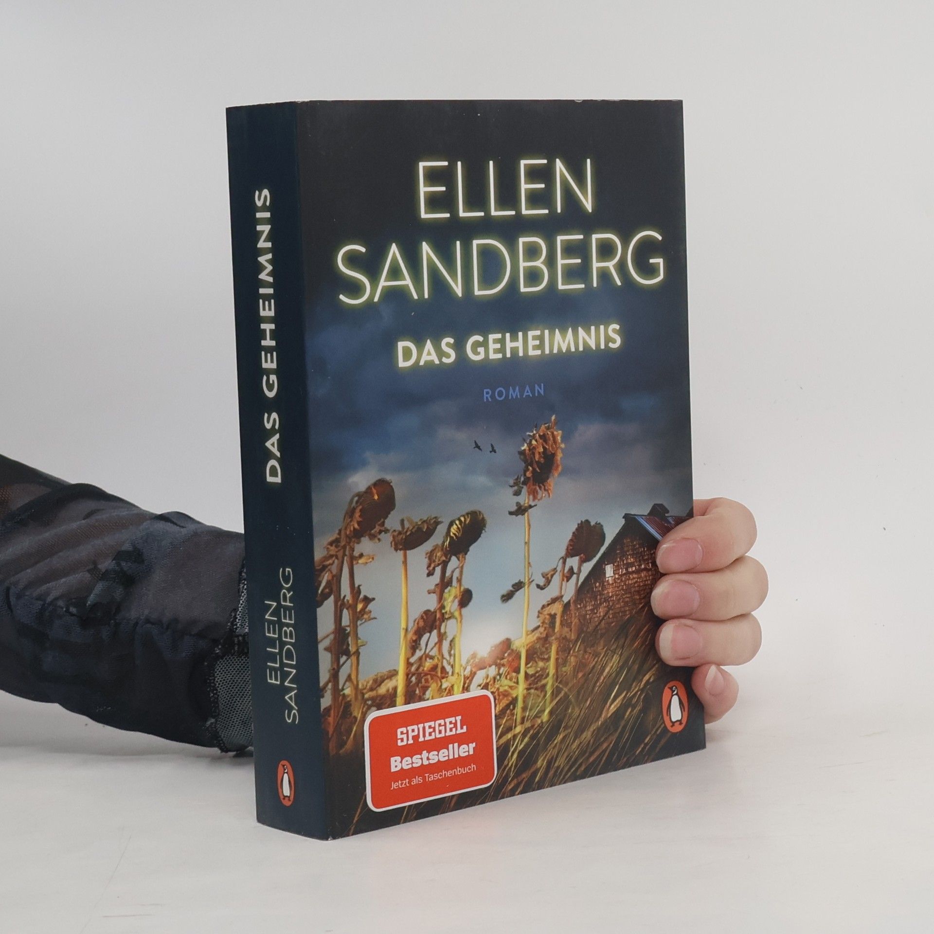 Ellen Sandberg Das Geheimnis