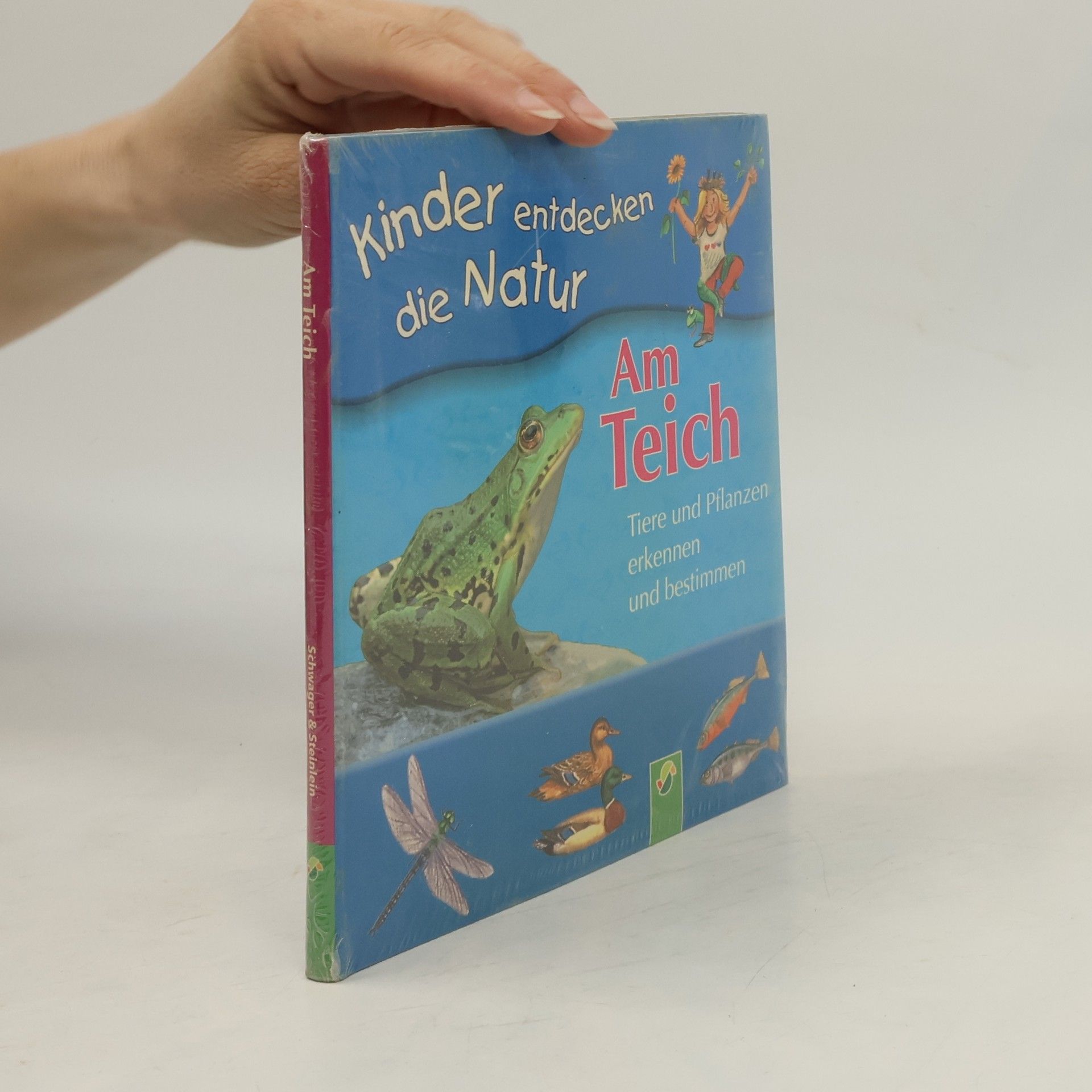 Marcus Würmli Am Teich