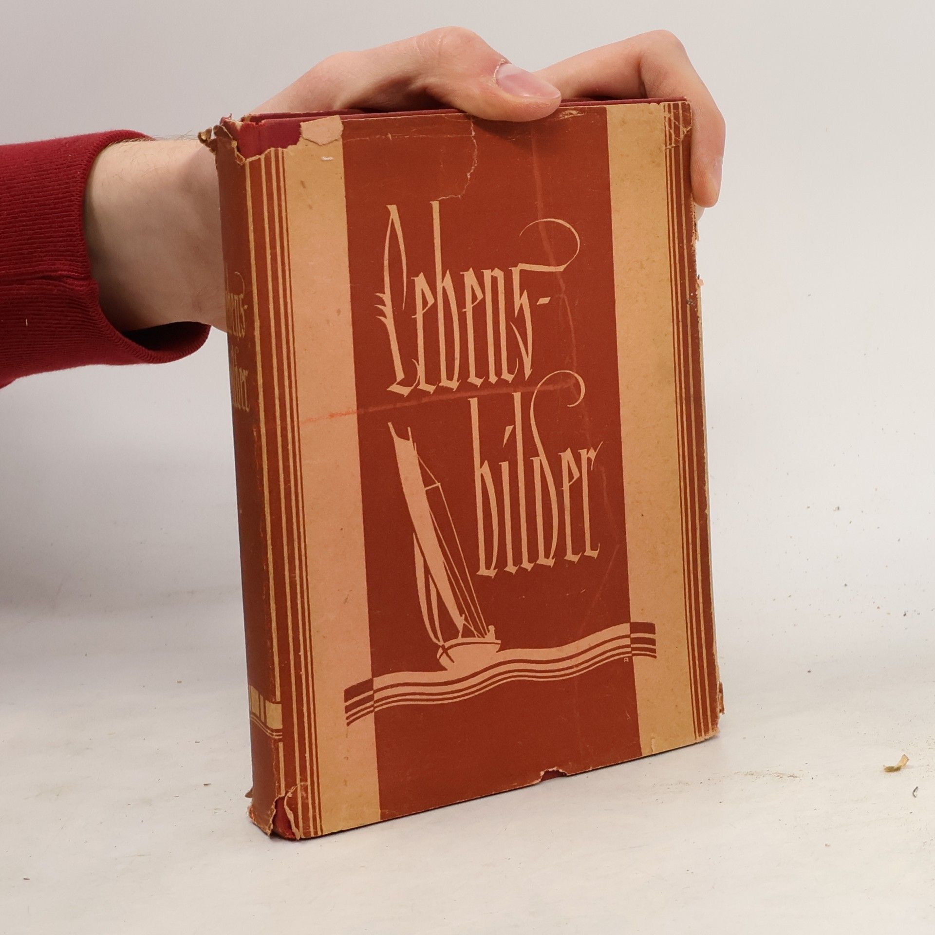 Autores varios Lebensbilder 4