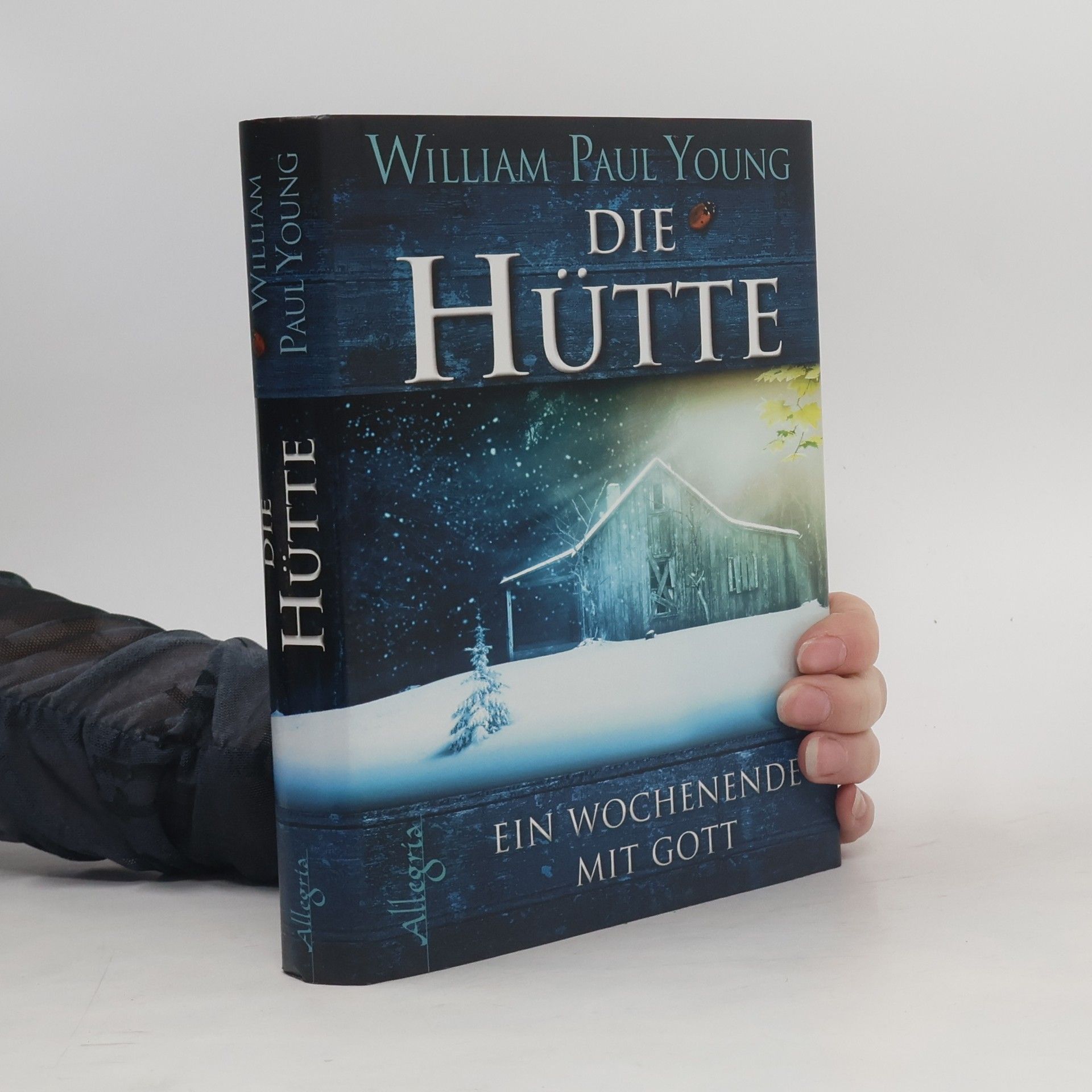 William P. Young Die Hütte