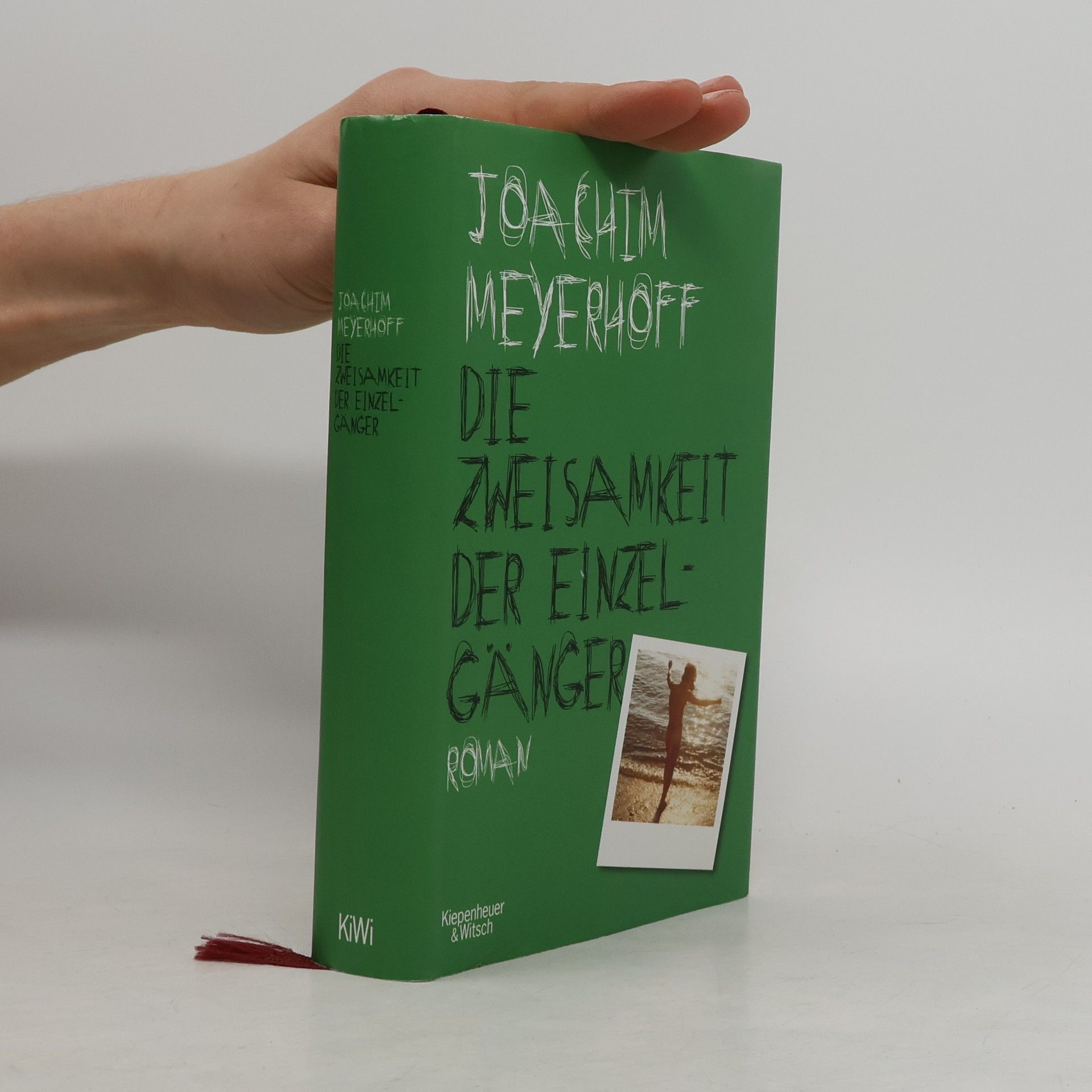 Joachim Meyerhoff Die Zweisamkeit der Einzelgänger