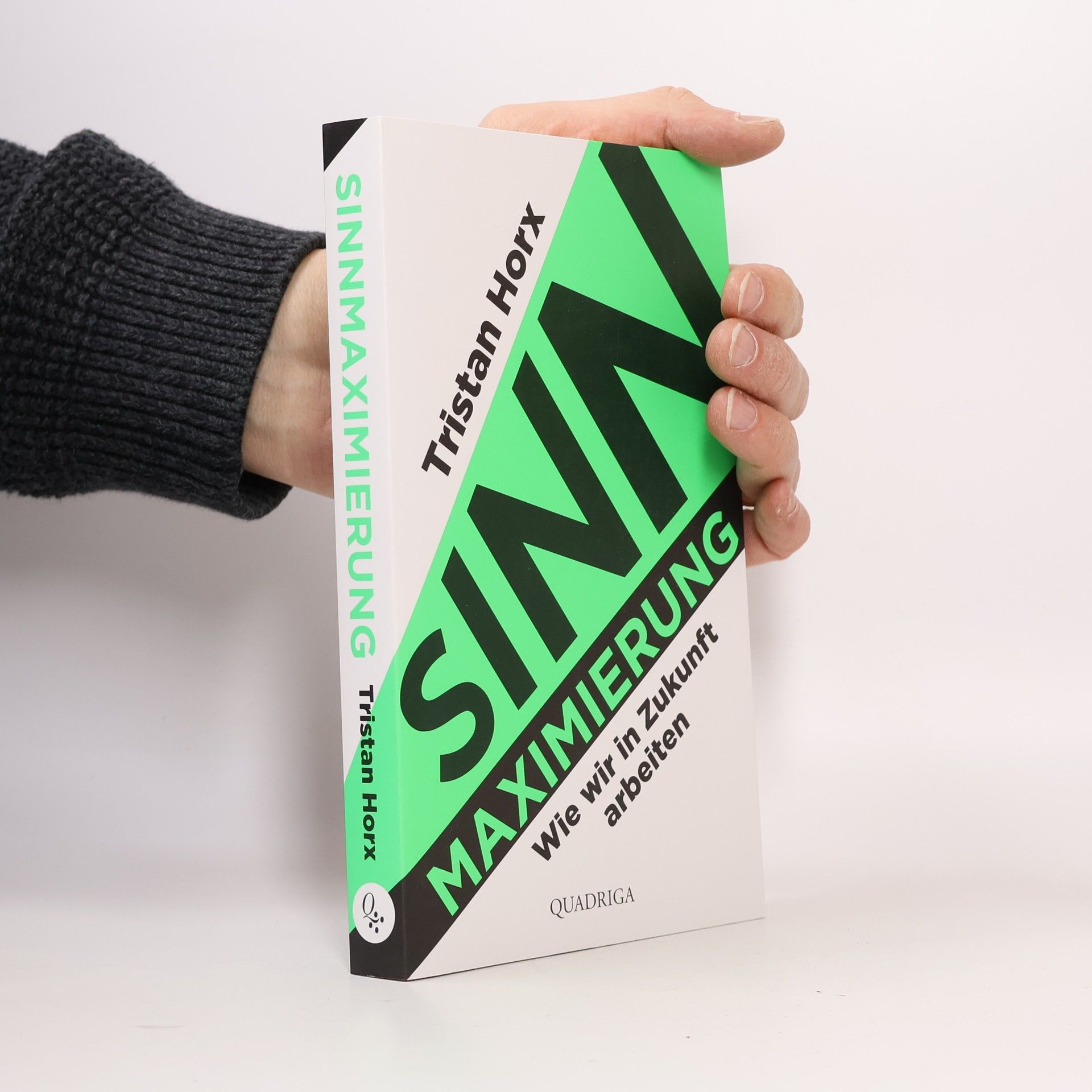 Tristan Horx Sinnmaximierung