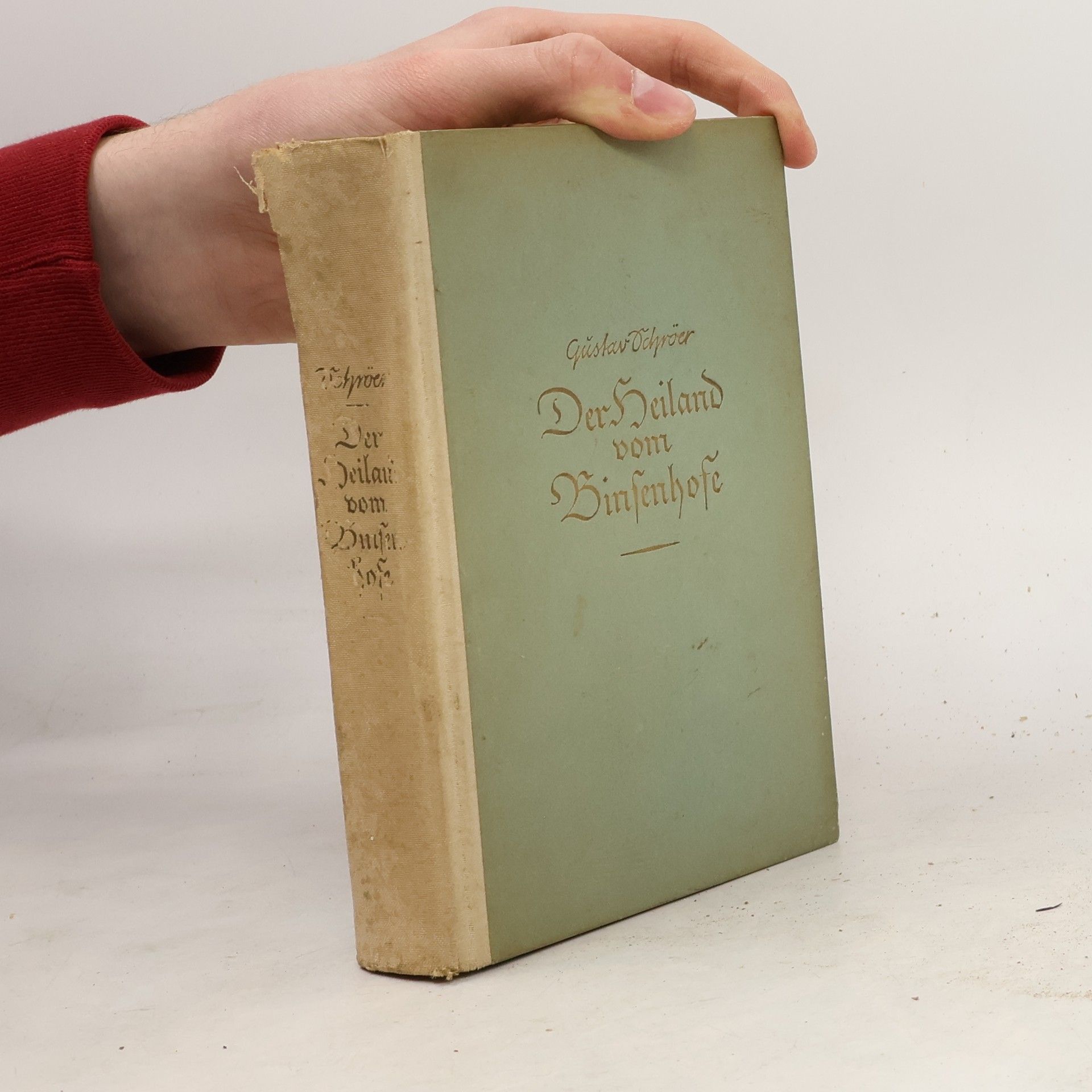 Der Heiland vom Binsenhofe