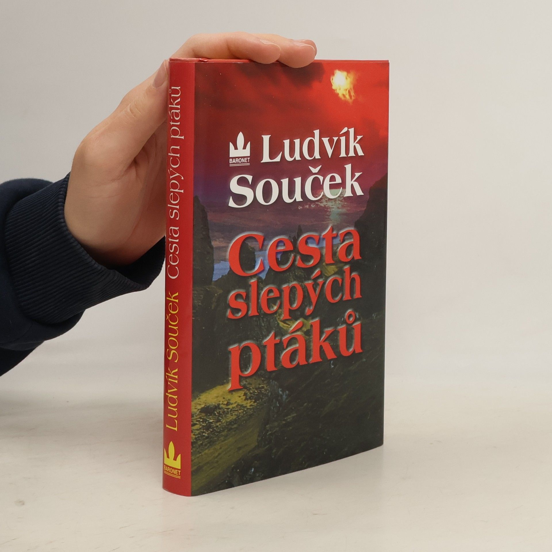 Ludvík Souček Cesta slepých ptáků