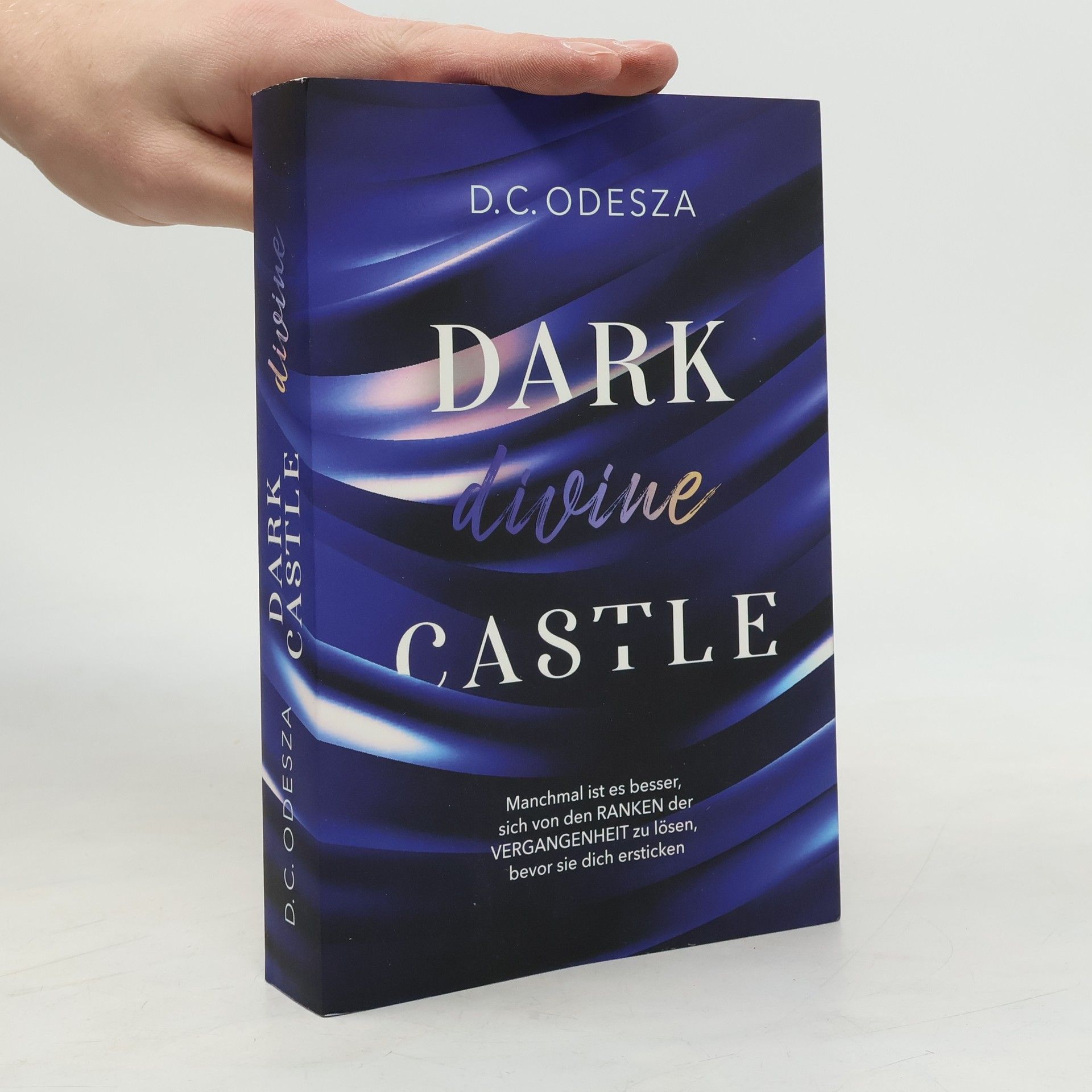 D. C. Odesza Dark Divine Castle