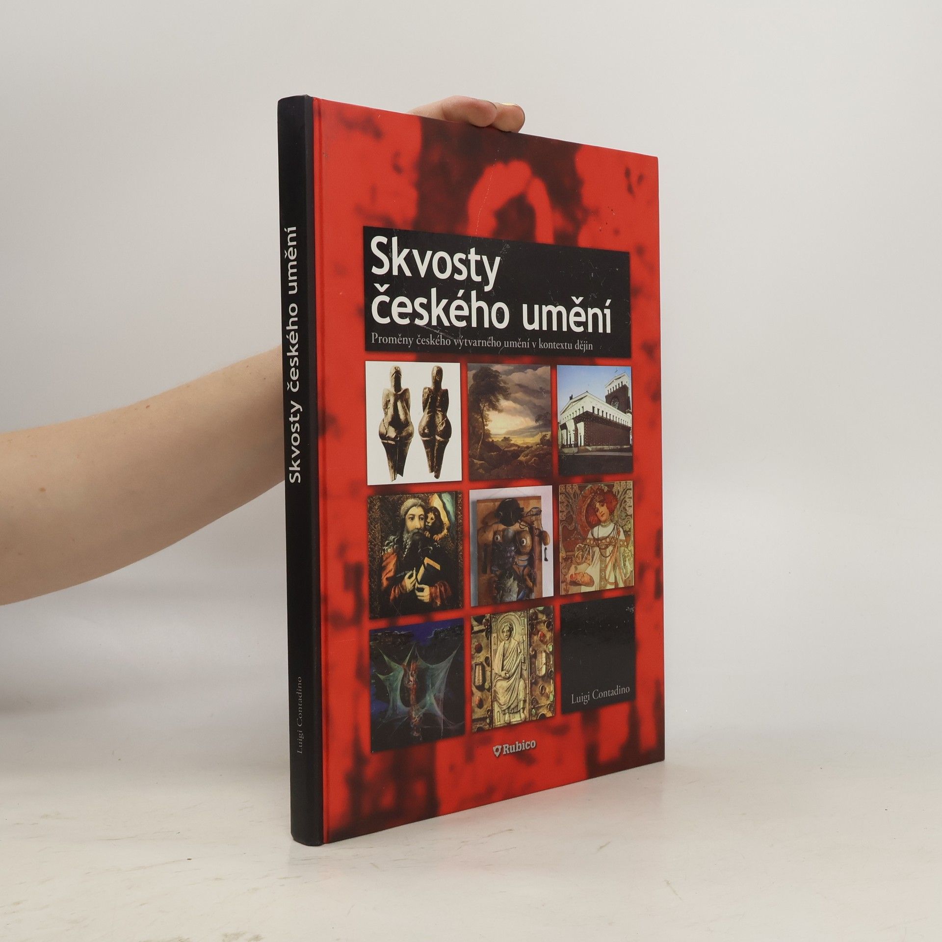 Luigi Contadino Skvosty českého umění : proměny českého výtvarného umění v kontextu dějin