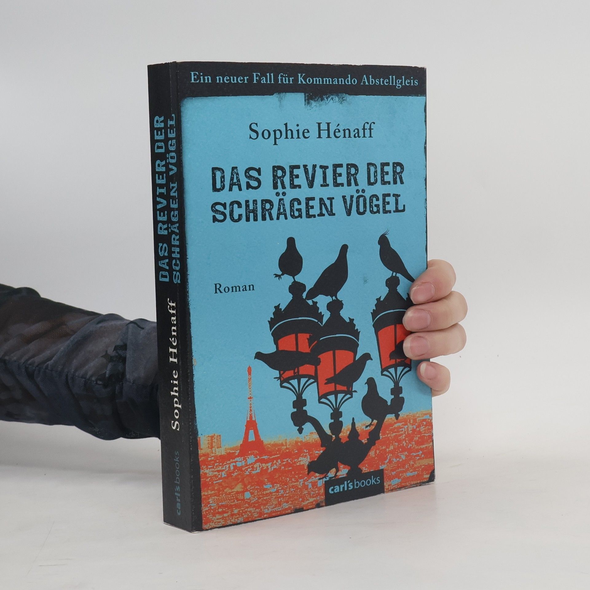 Sophie Hénaff Das Revier der schrägen Vögel