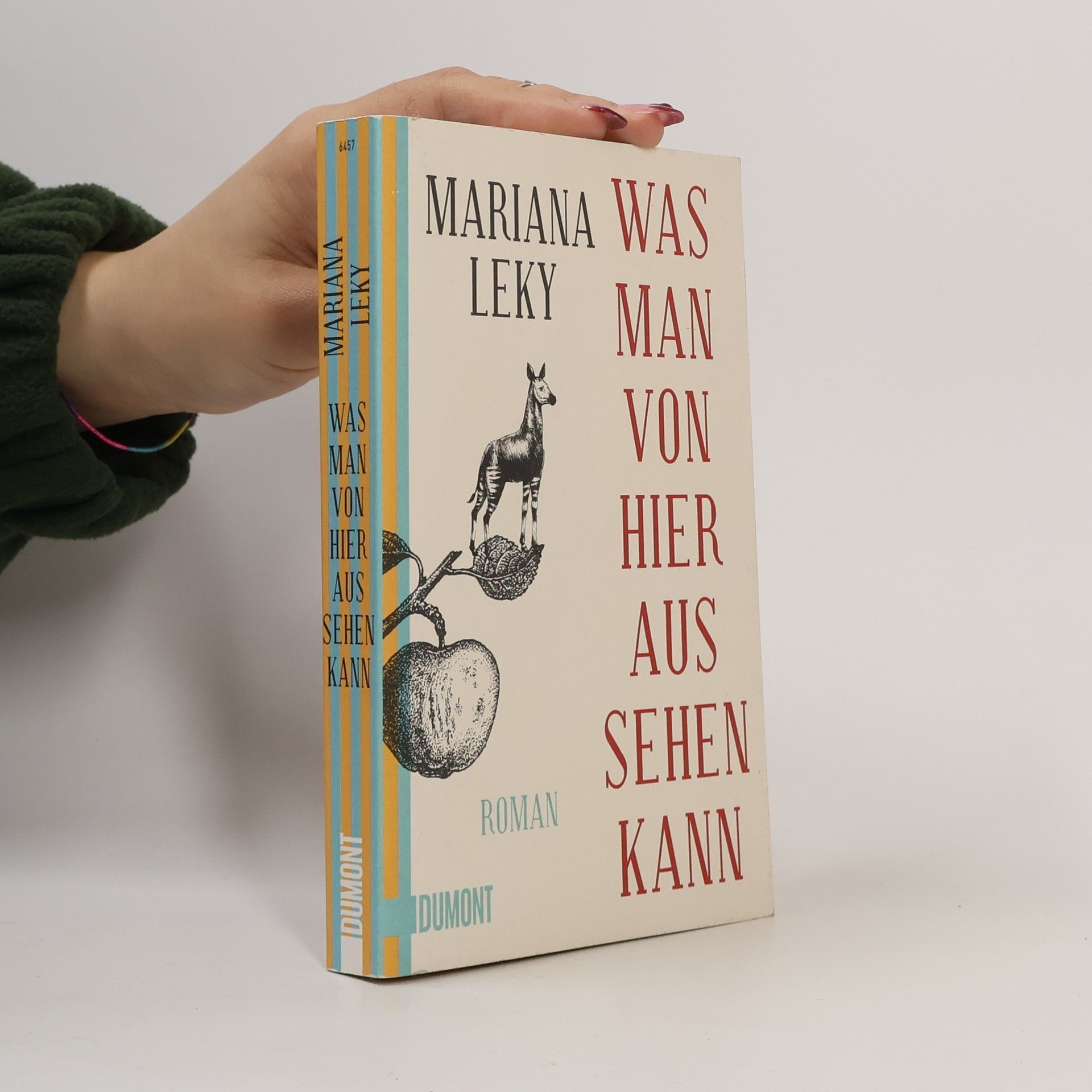 Mariana Leky Was man von hier aus sehen kann