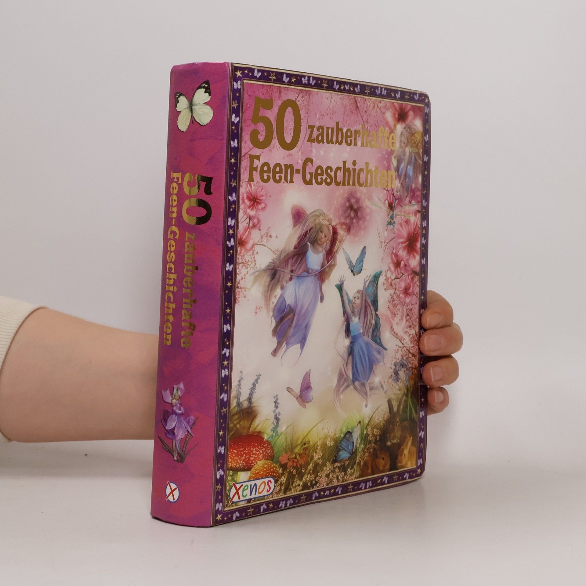 Autorenkollektiv Geschichtenschatz: 50 zauberhafte Feen-Geschichten