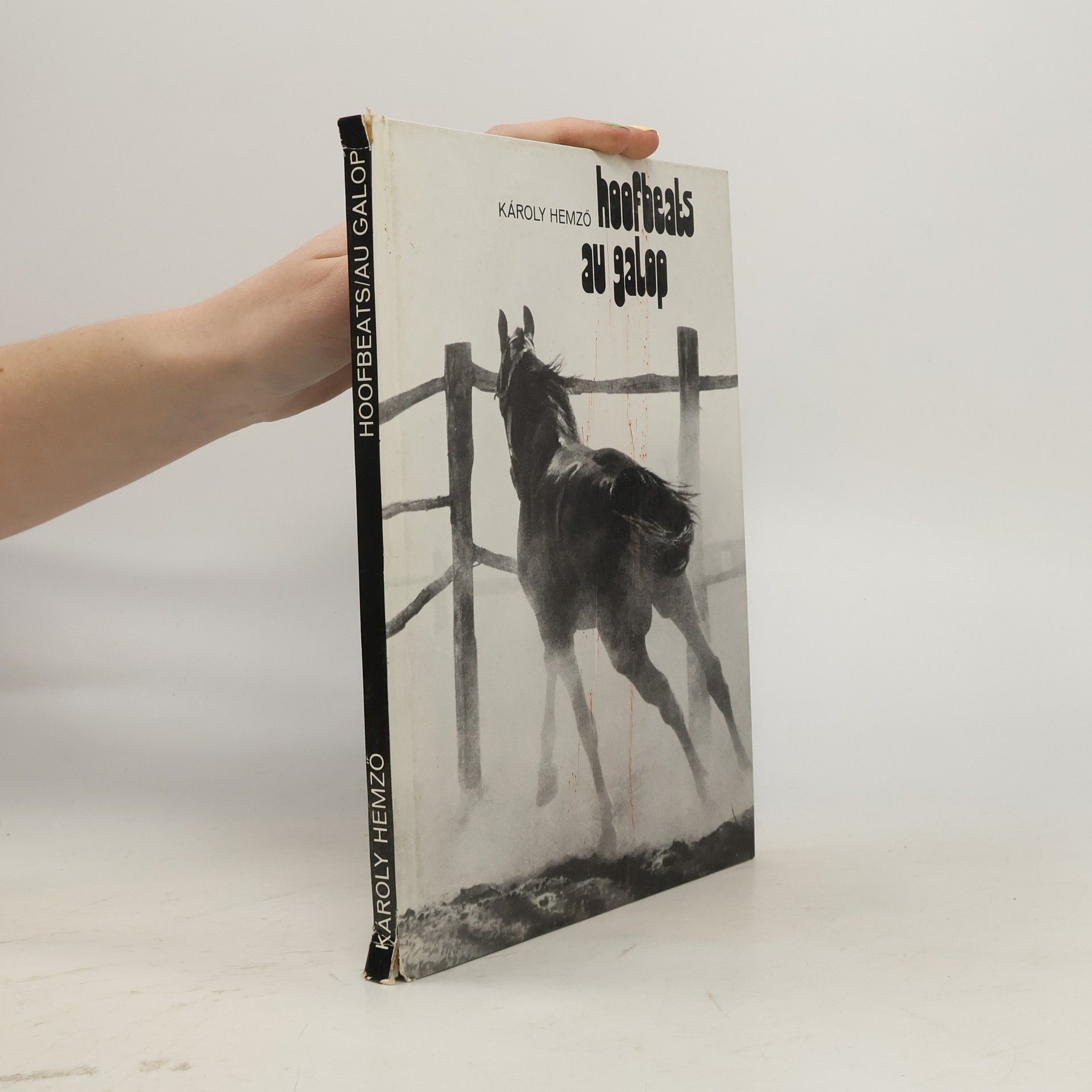 Károly Hemzo Dröhnende hufe = Топот коня