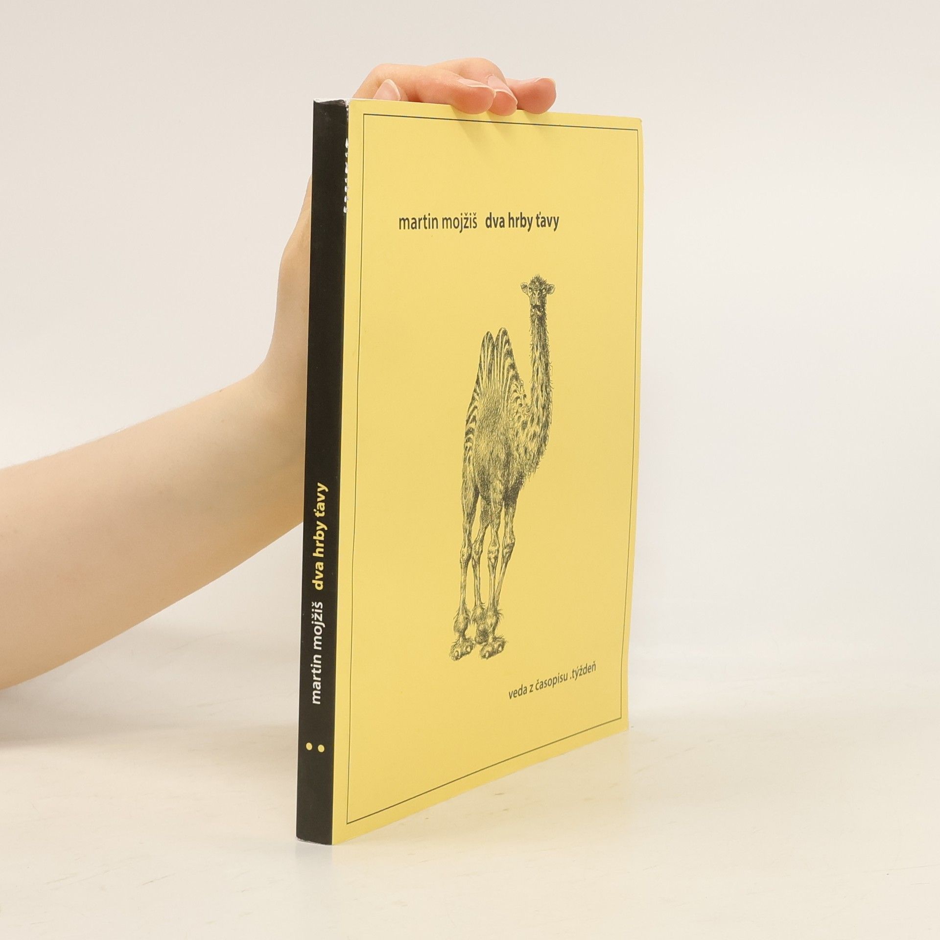 Martin Mojžiš Dva hrby ťavy