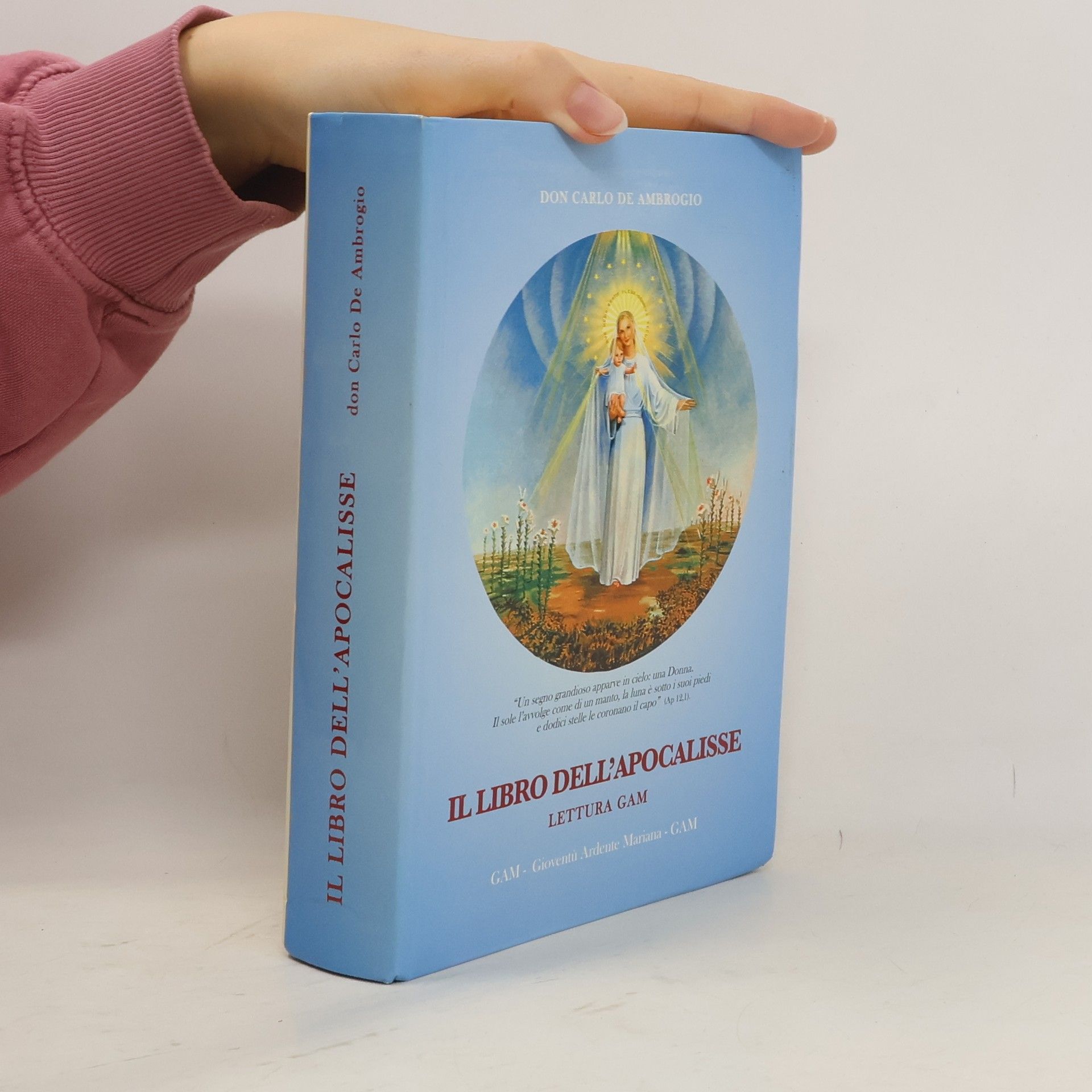 Carlo De Ambrogio Il libro dell'apocalisse