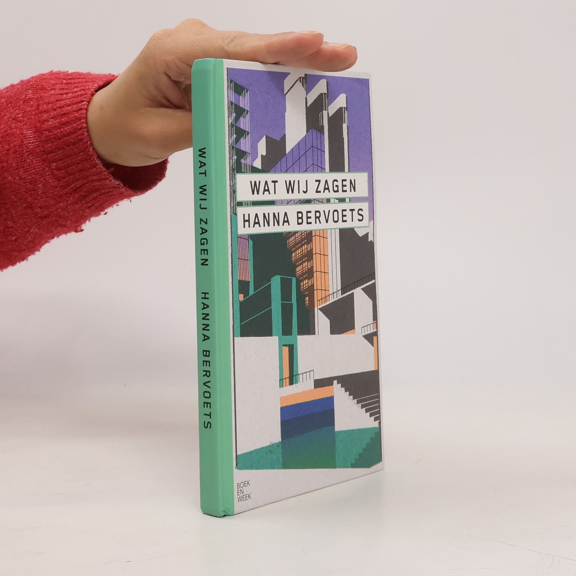 Hanna Bervoets Wat wij zagen