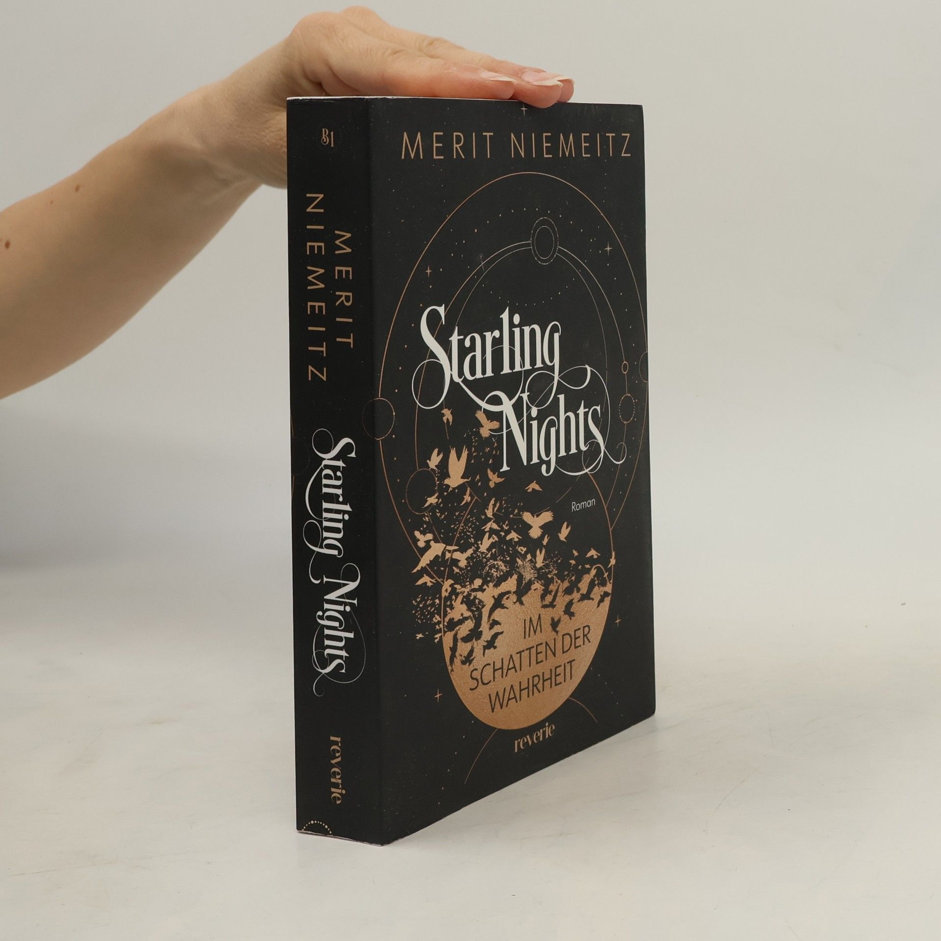 Merit Niemeitz Starling Nights 1