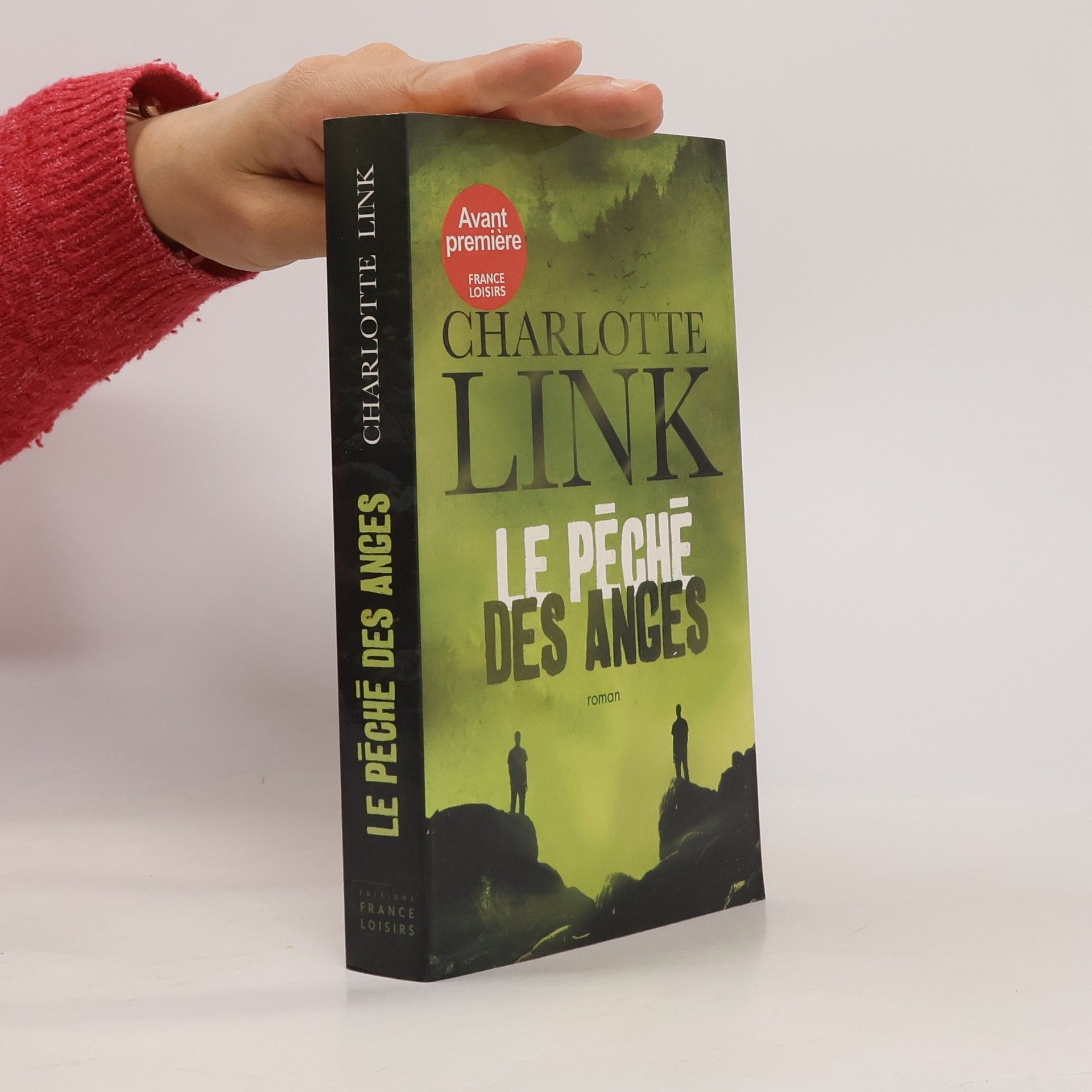 Charlotte Link Le Pêché des Anges