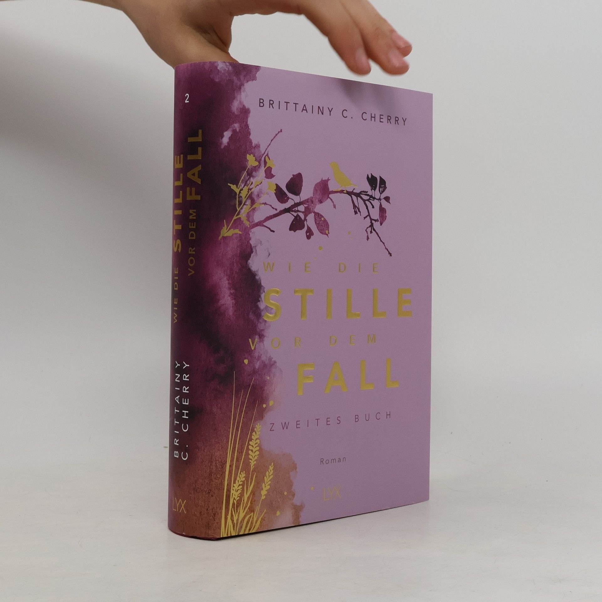 Brittainy C. Cherry Wie die Stille vor dem Fall. Zweites Buch: Special Edition