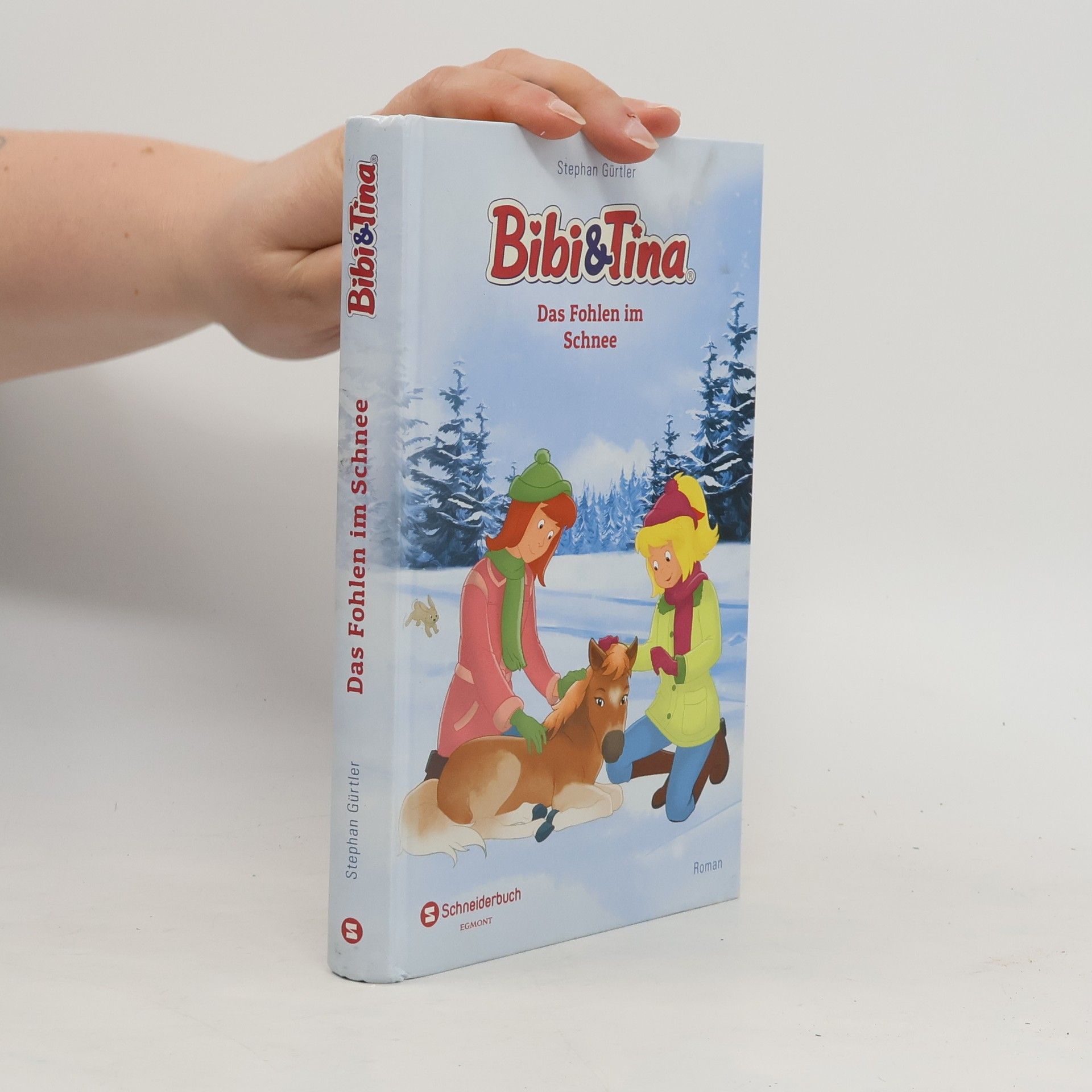Stephan Gürtler Bibi & Tina - das Fohlen im Schnee