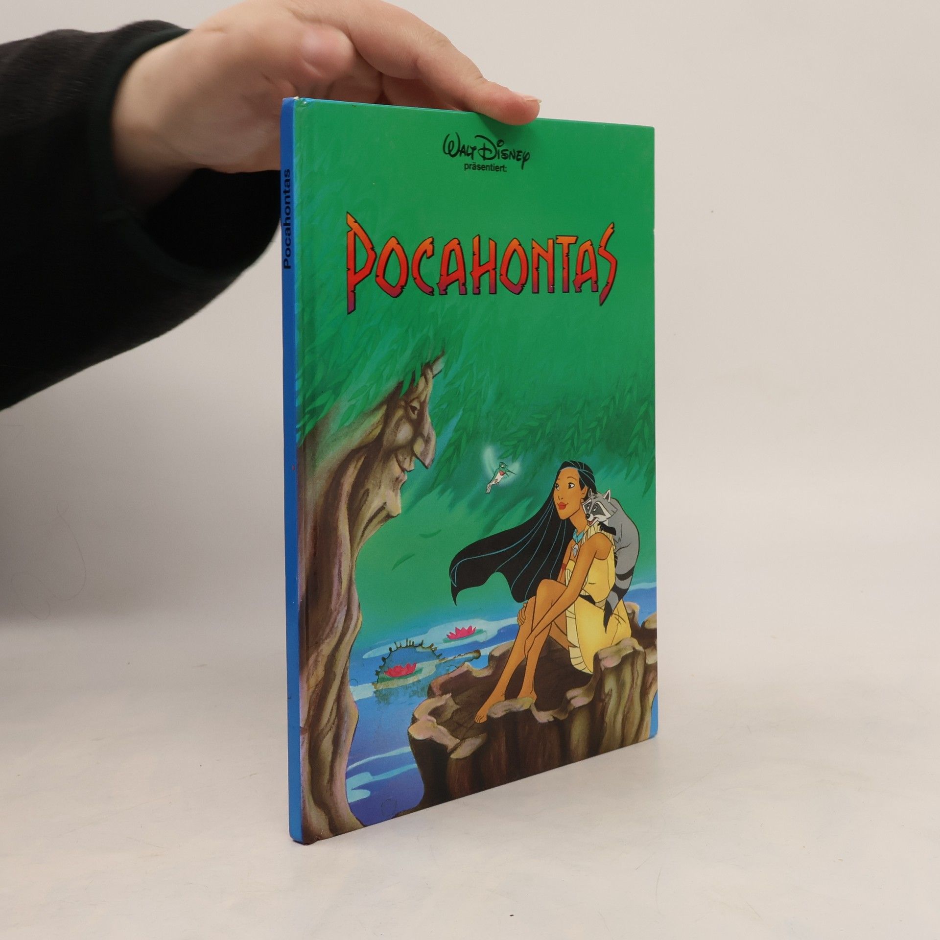 Kolektiv autorů Pocahontas