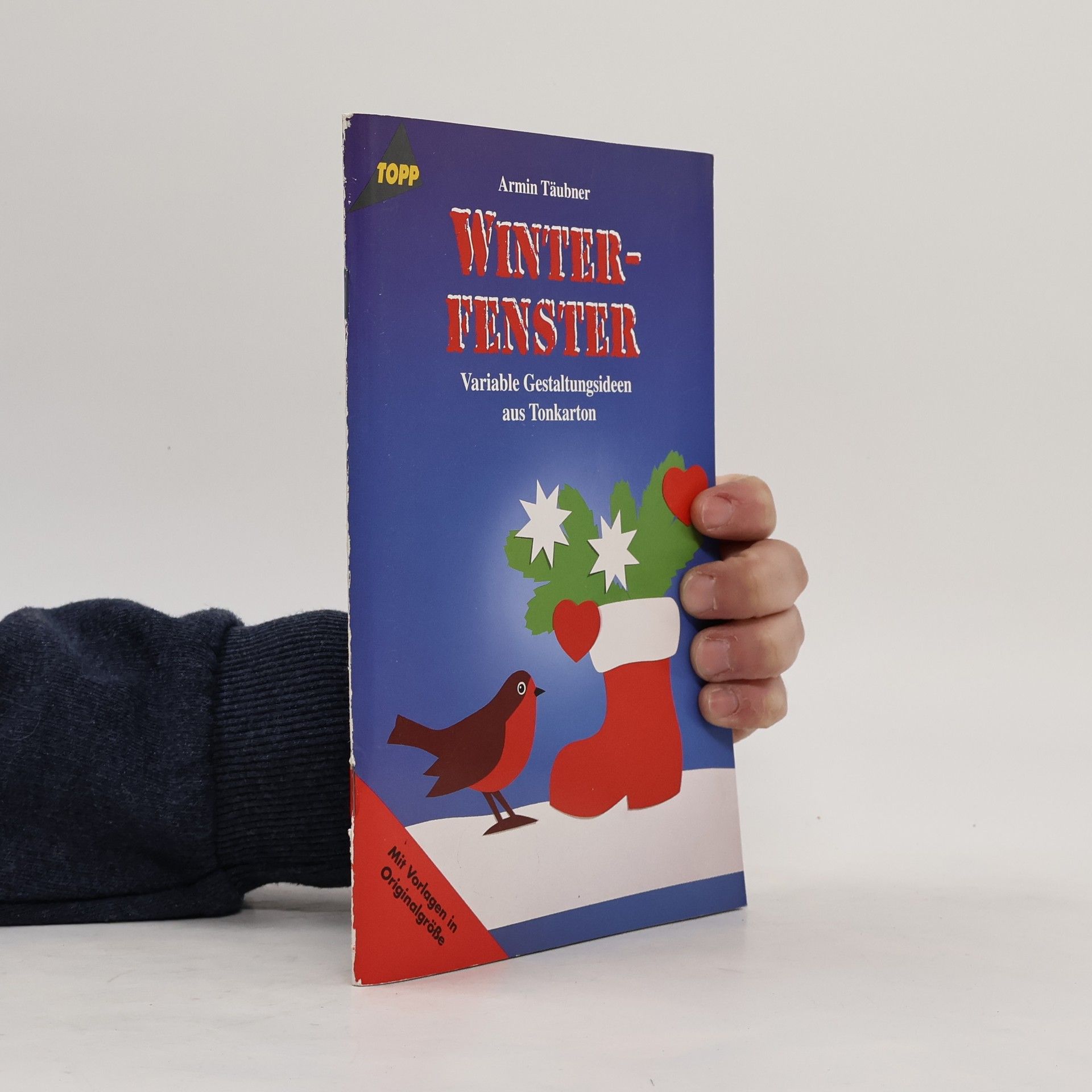 Daniel Täubner Winterfenster