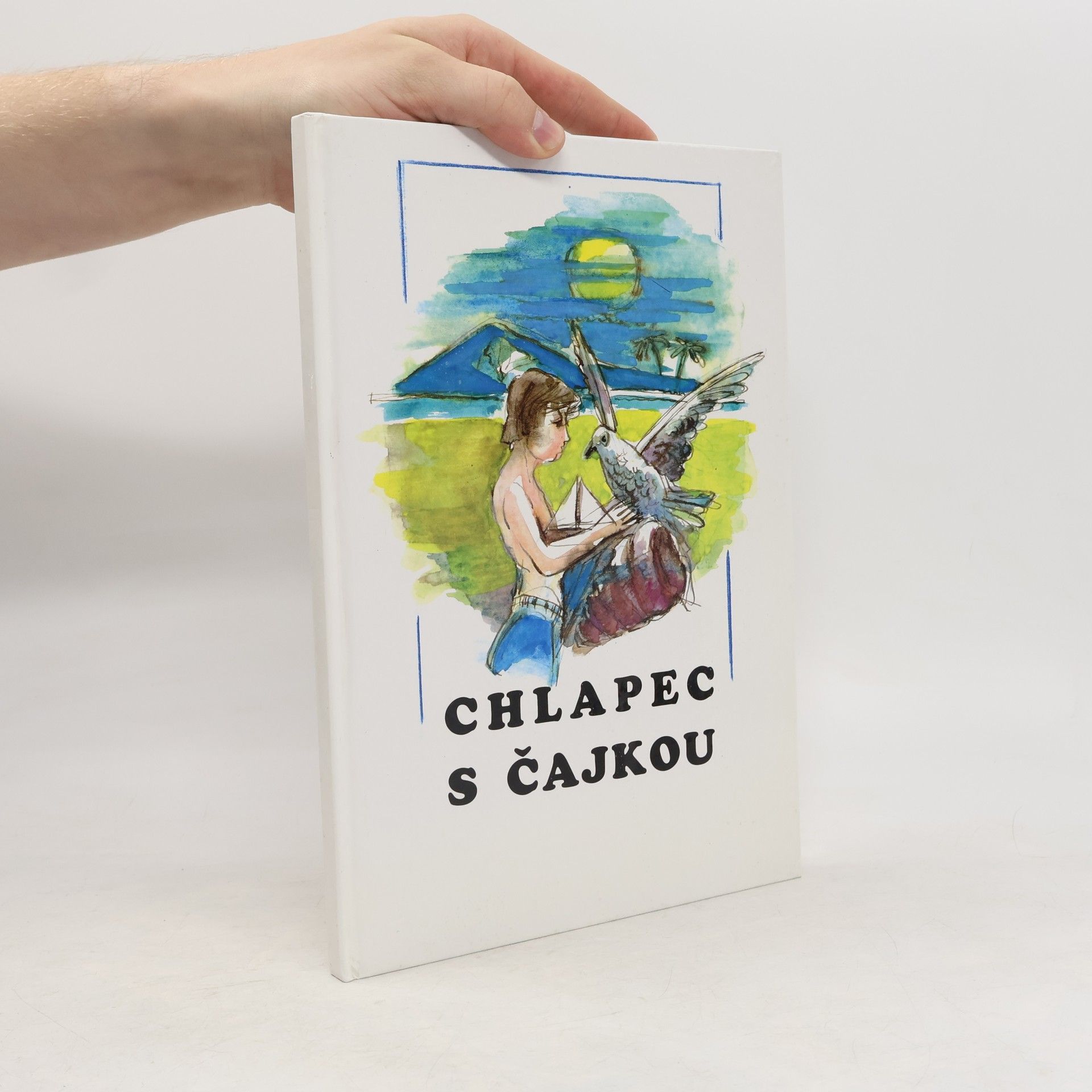 Zuzankine motýle. Chlapec s čajkou