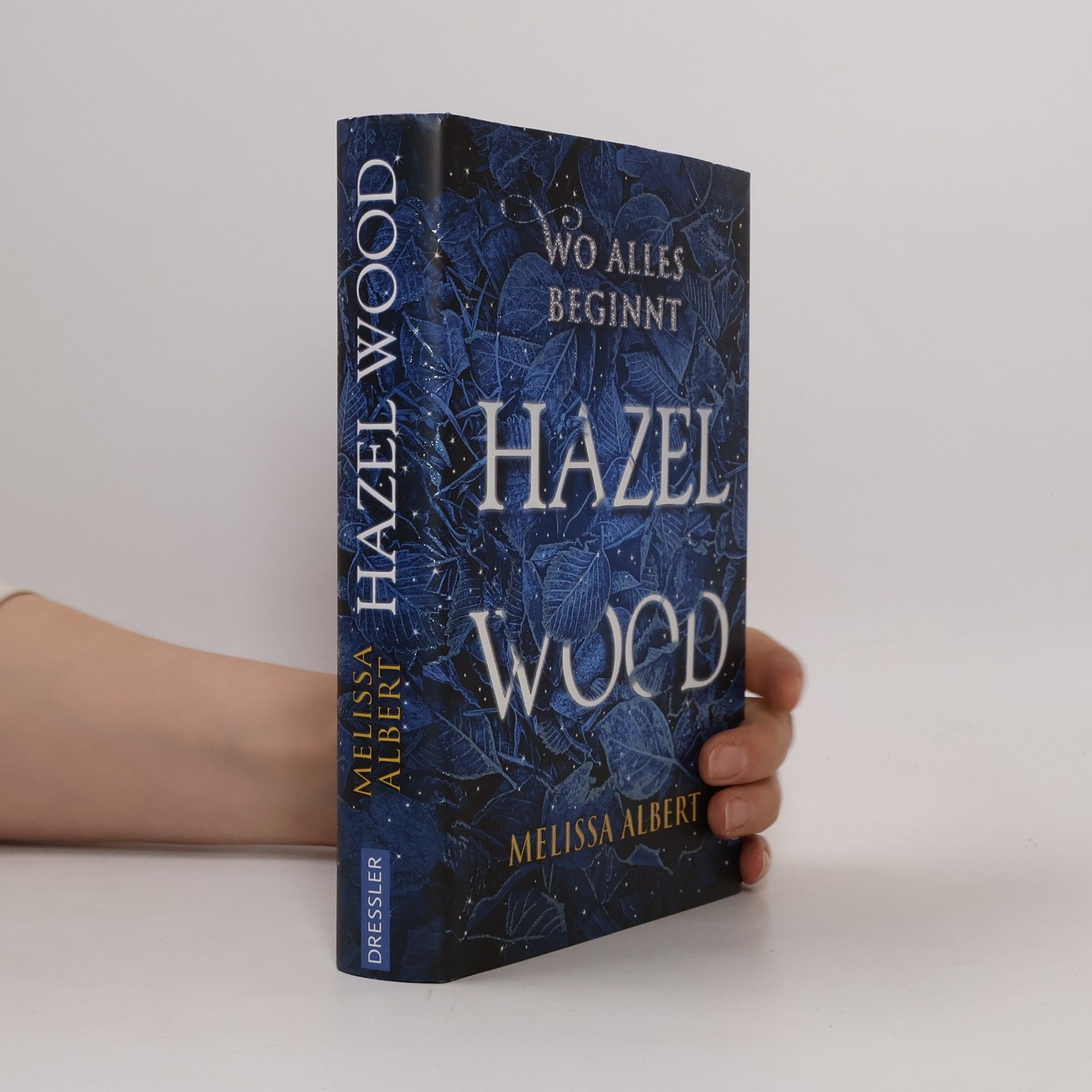 Melissa Albert Hazel Wood: Wo alles beginnt