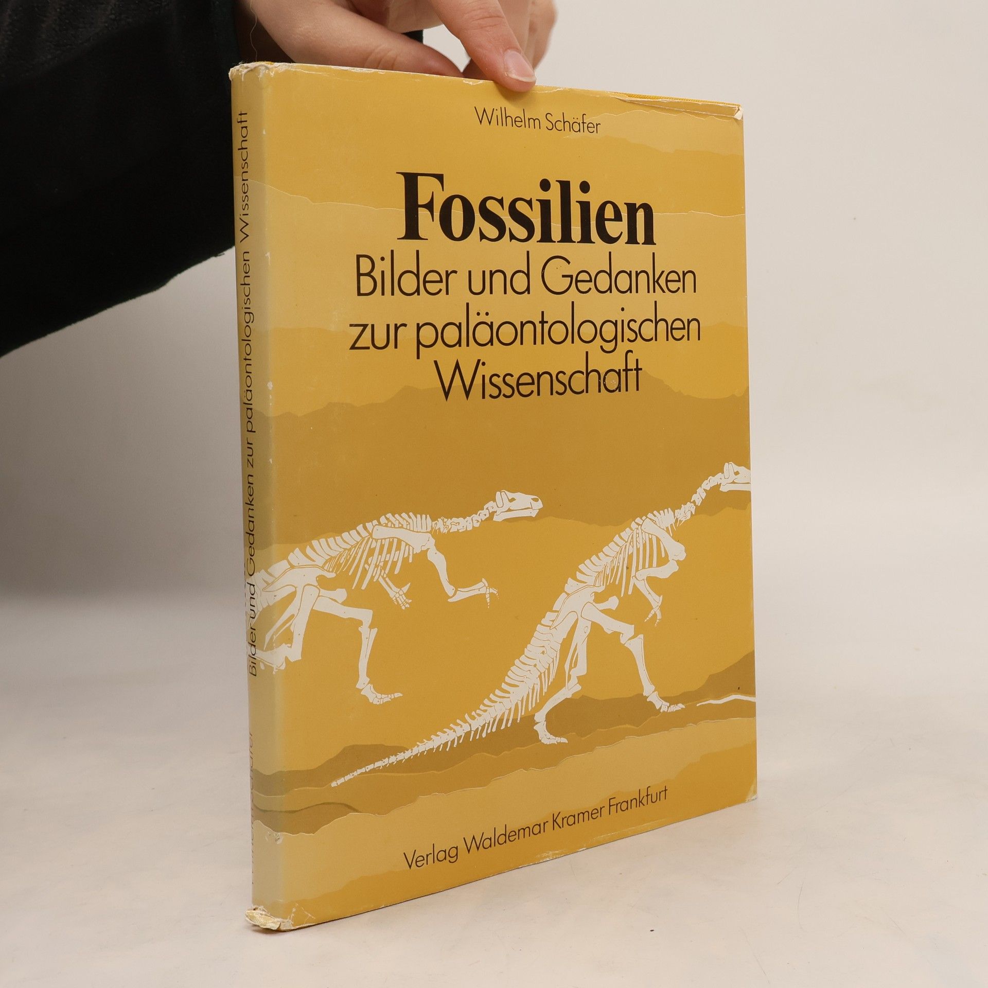 Senckenberg-Buch: Fossilien