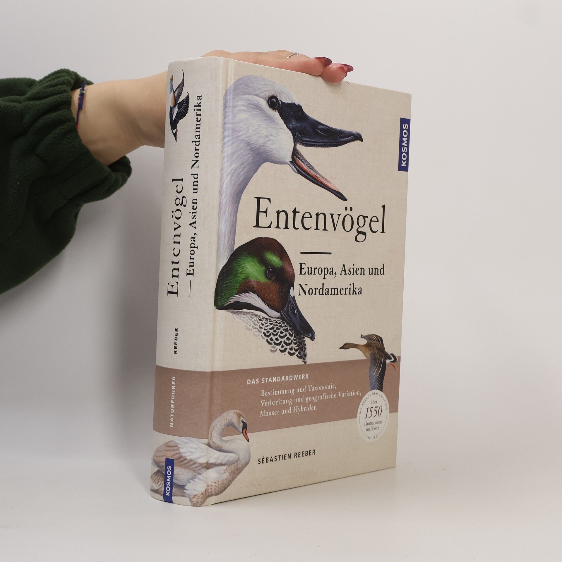 Sébastien Reeber Entenvögel