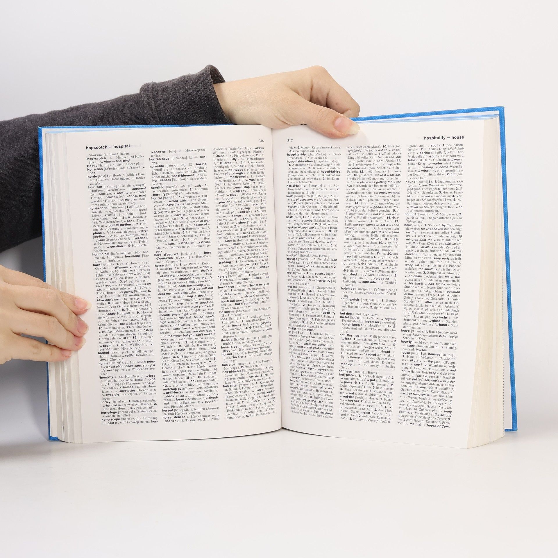 Heinz Messinger Langenscheidts Handwörterbuch Englisch