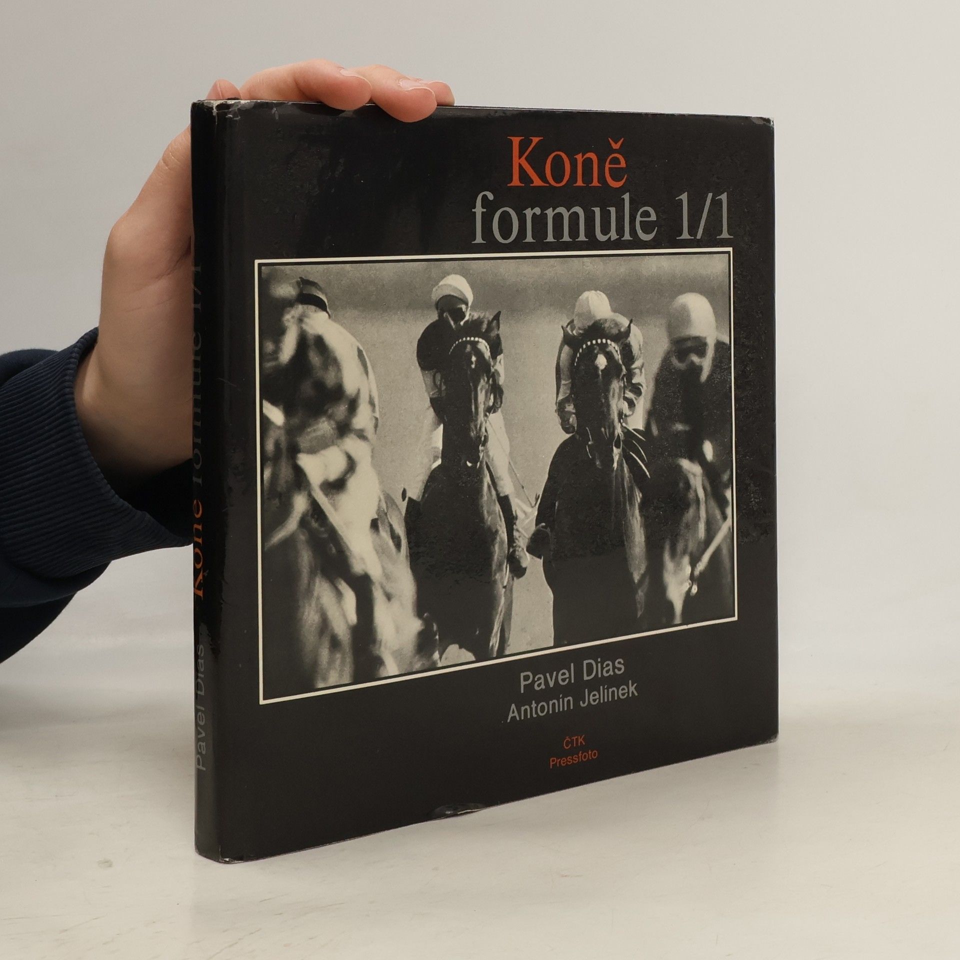 Antonín Jelínek Koně formule 1/1