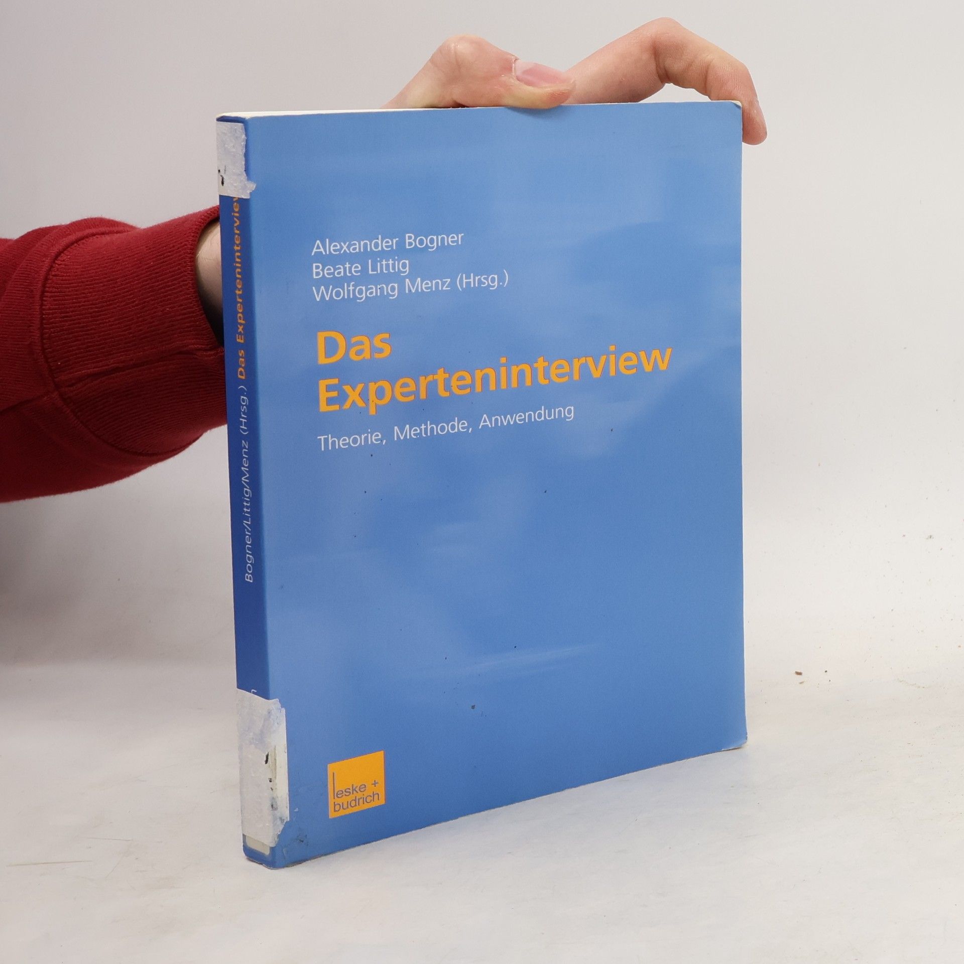 Alexander Bogner Das Experteninterview