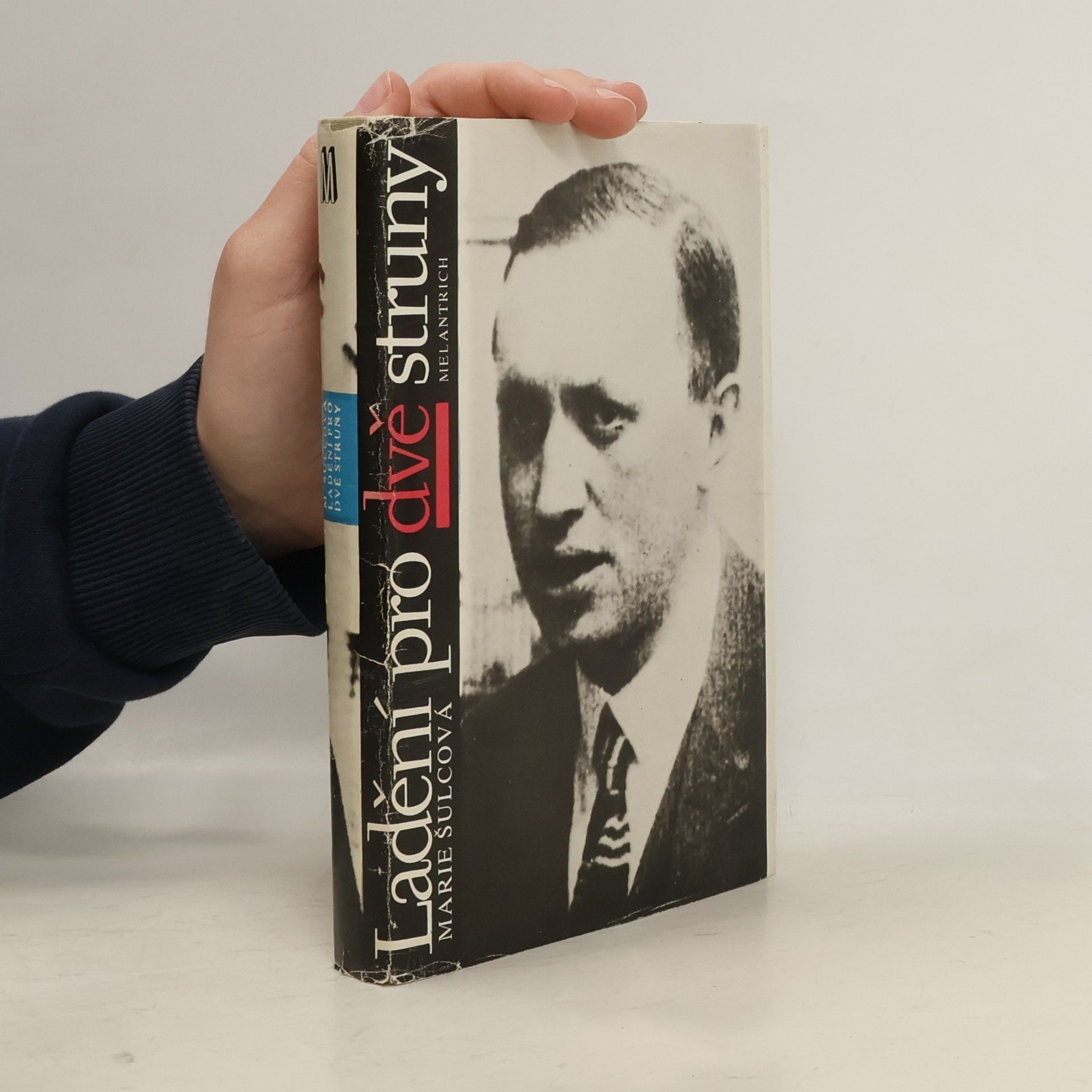 Marie Šulcová Ladění pro dvě struny