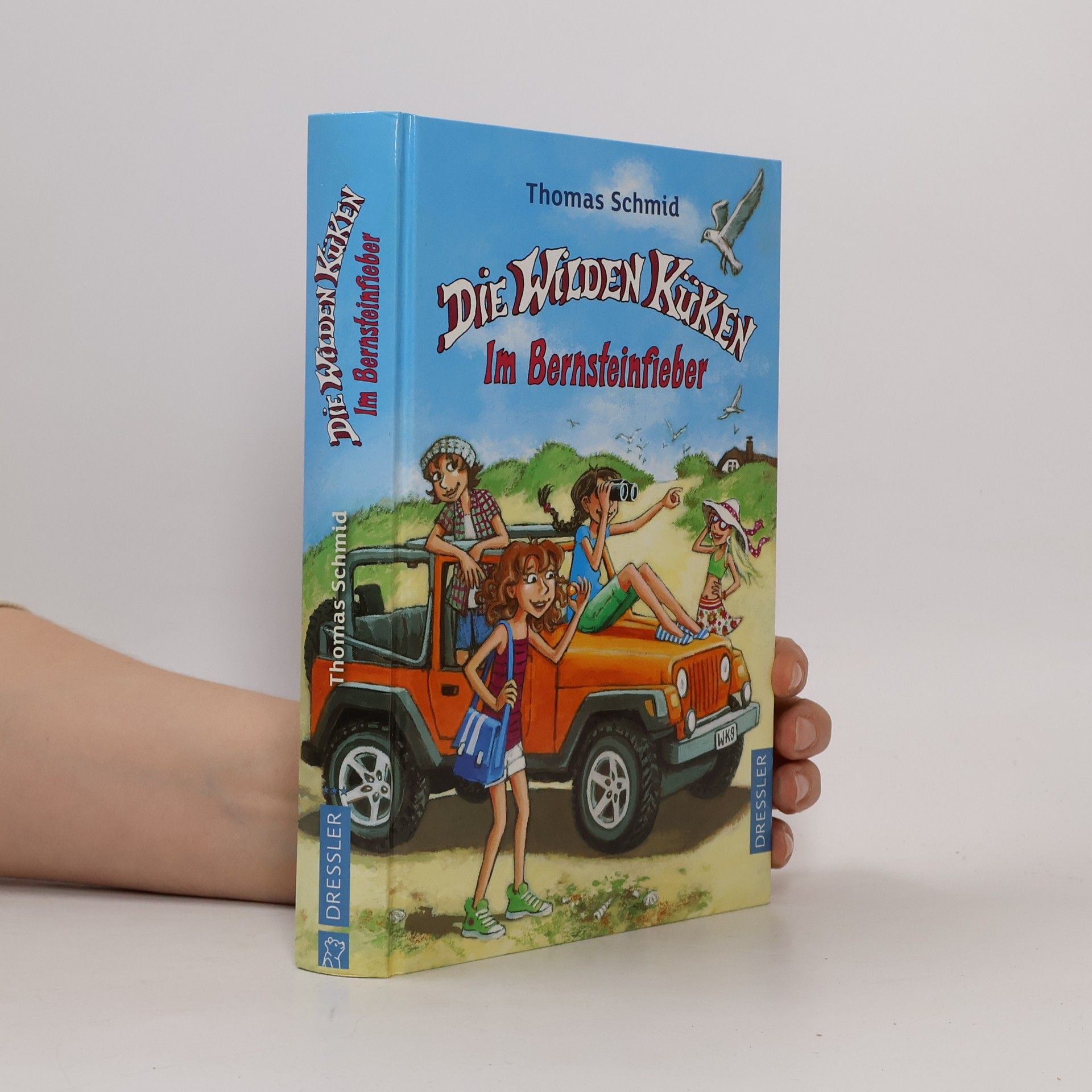 Thomas Schmid Die Wilden Küken - Im Bernsteinfieber