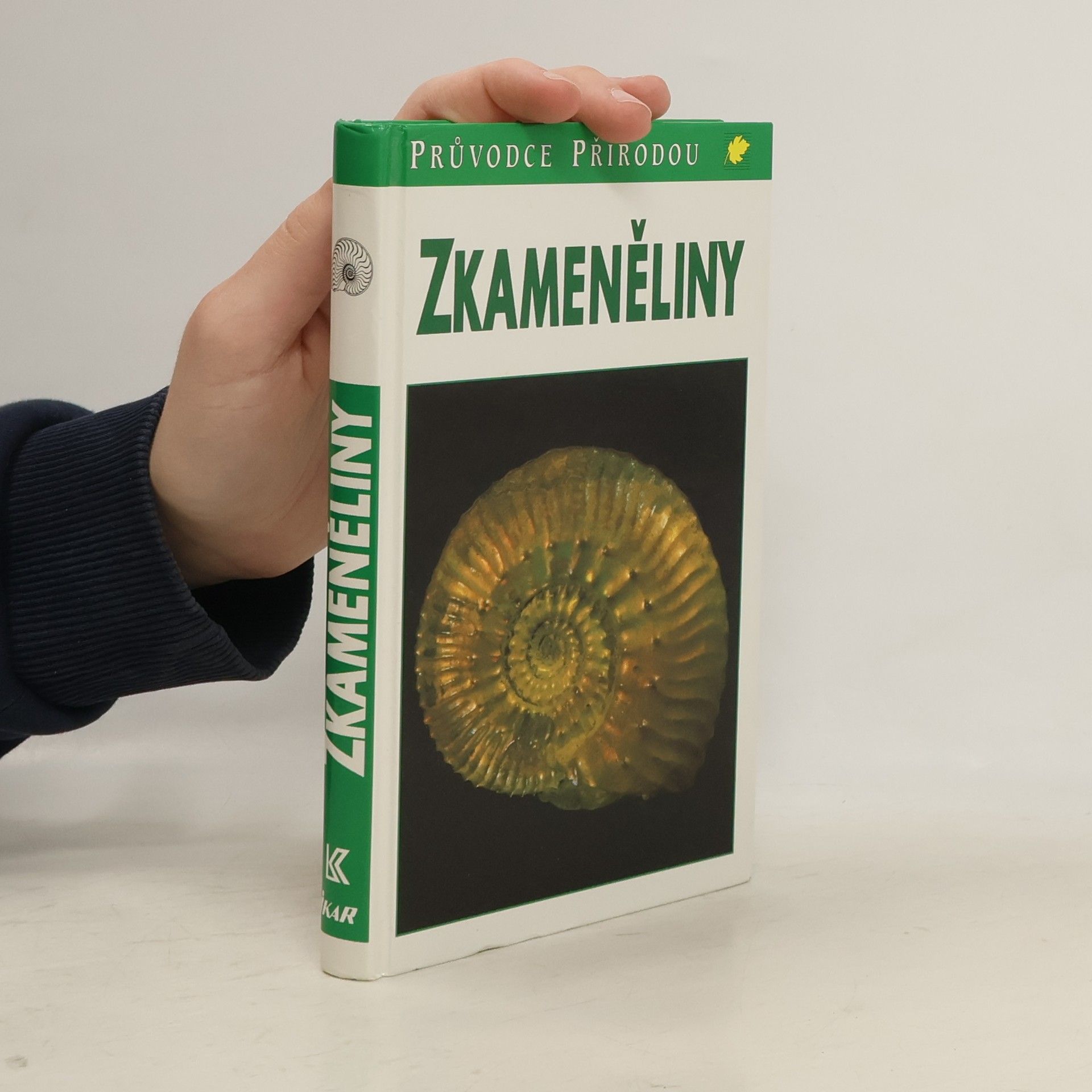 Gerhard Lichter Zkameněliny