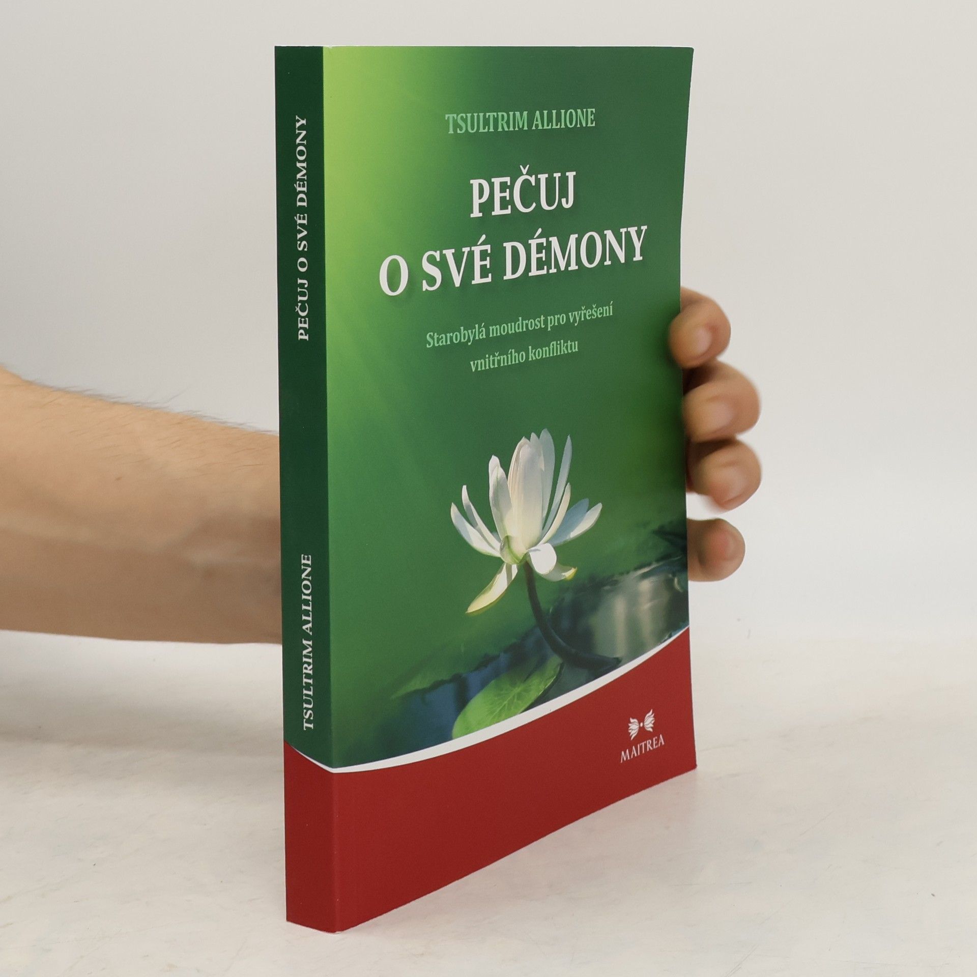 Tsültrim Allione Pečuj o své démony. Starobylá moudrost pro vyřešení vnitřního konfliktu