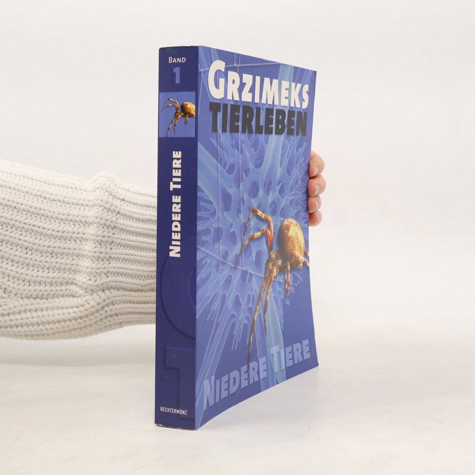 Autorenkollektiv Niedere Tiere 1