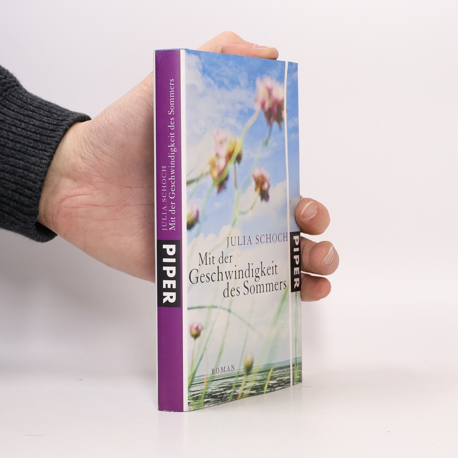 Julia Schoch Mit der Geschwindigkeit des Sommers