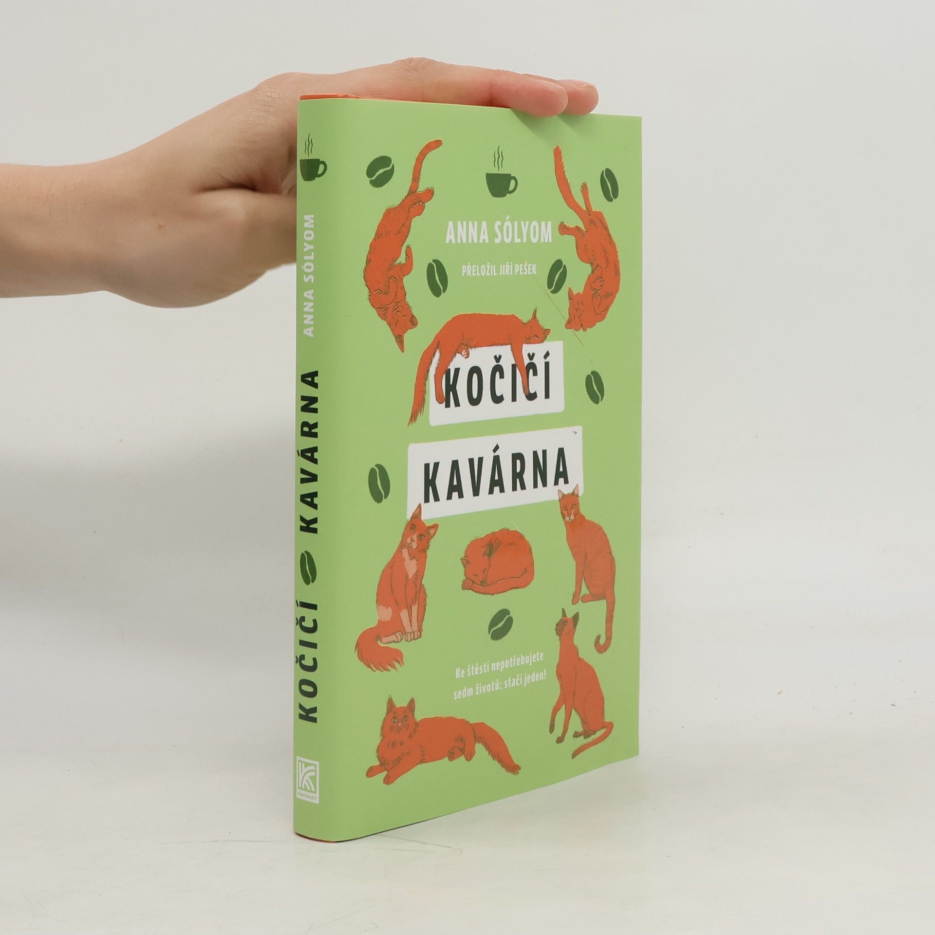 Anna Sólyom Kočičí kavárna