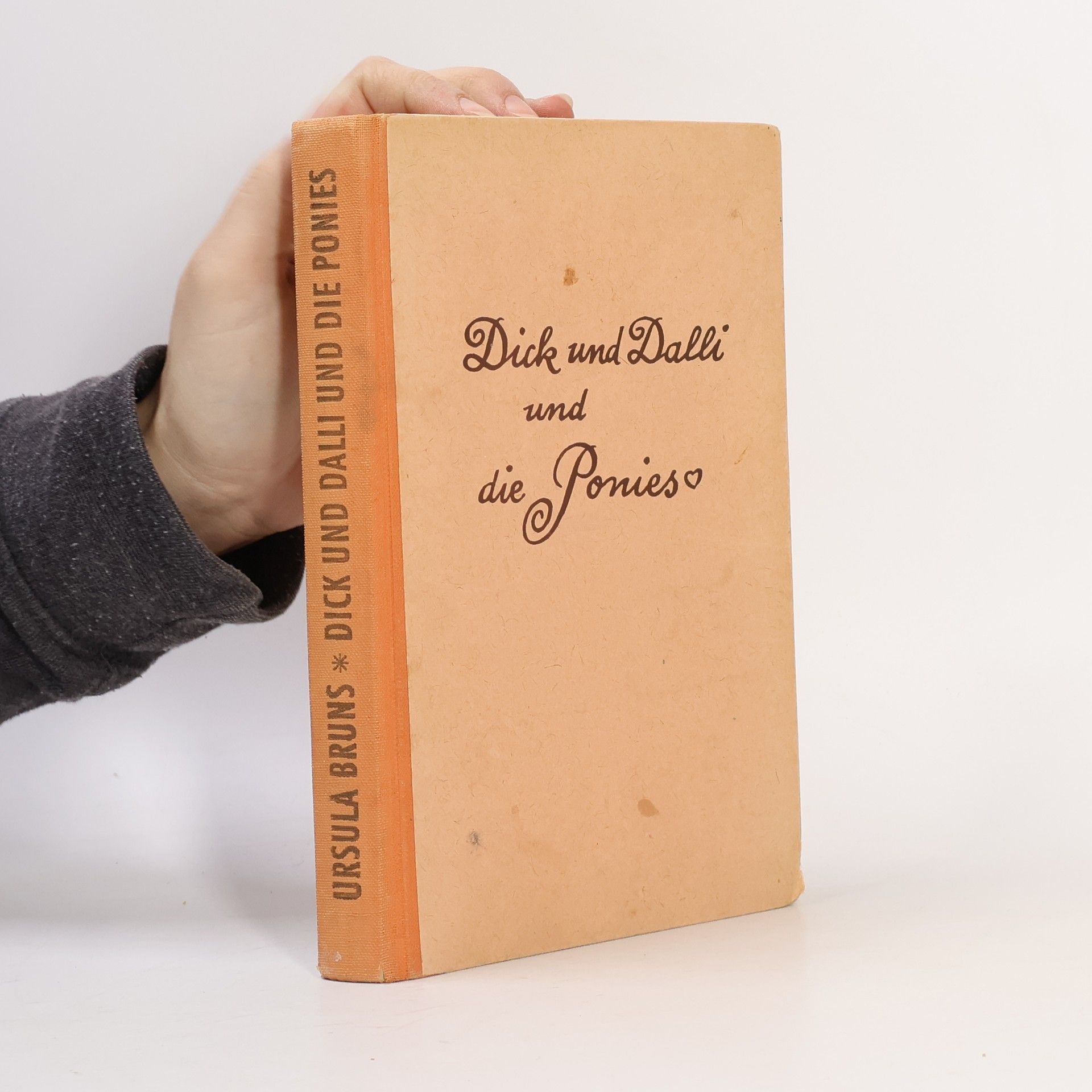 Ursula Bruns Dick und Dalli und die Ponies