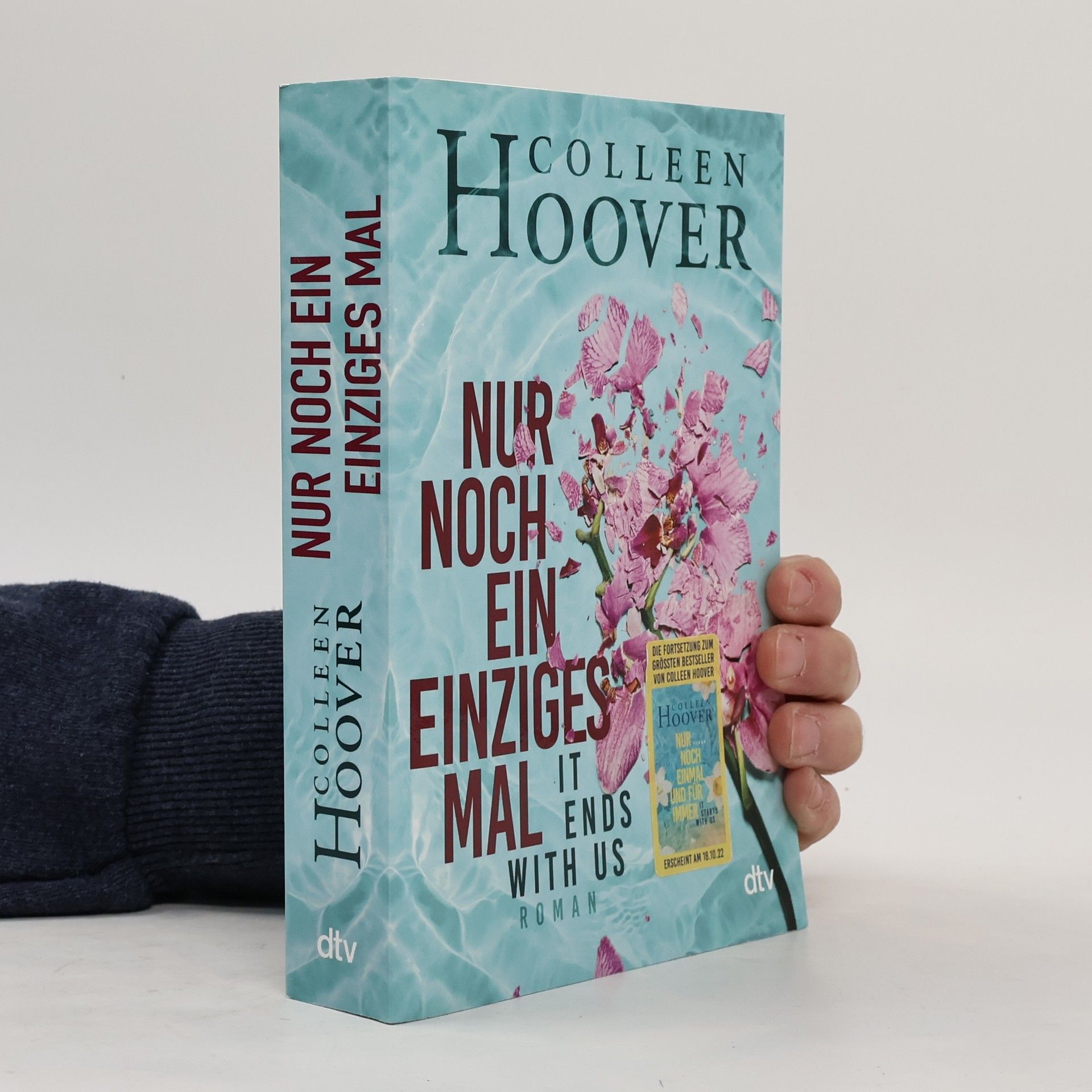 Colleen Hoover Nur noch ein einziges Mal
